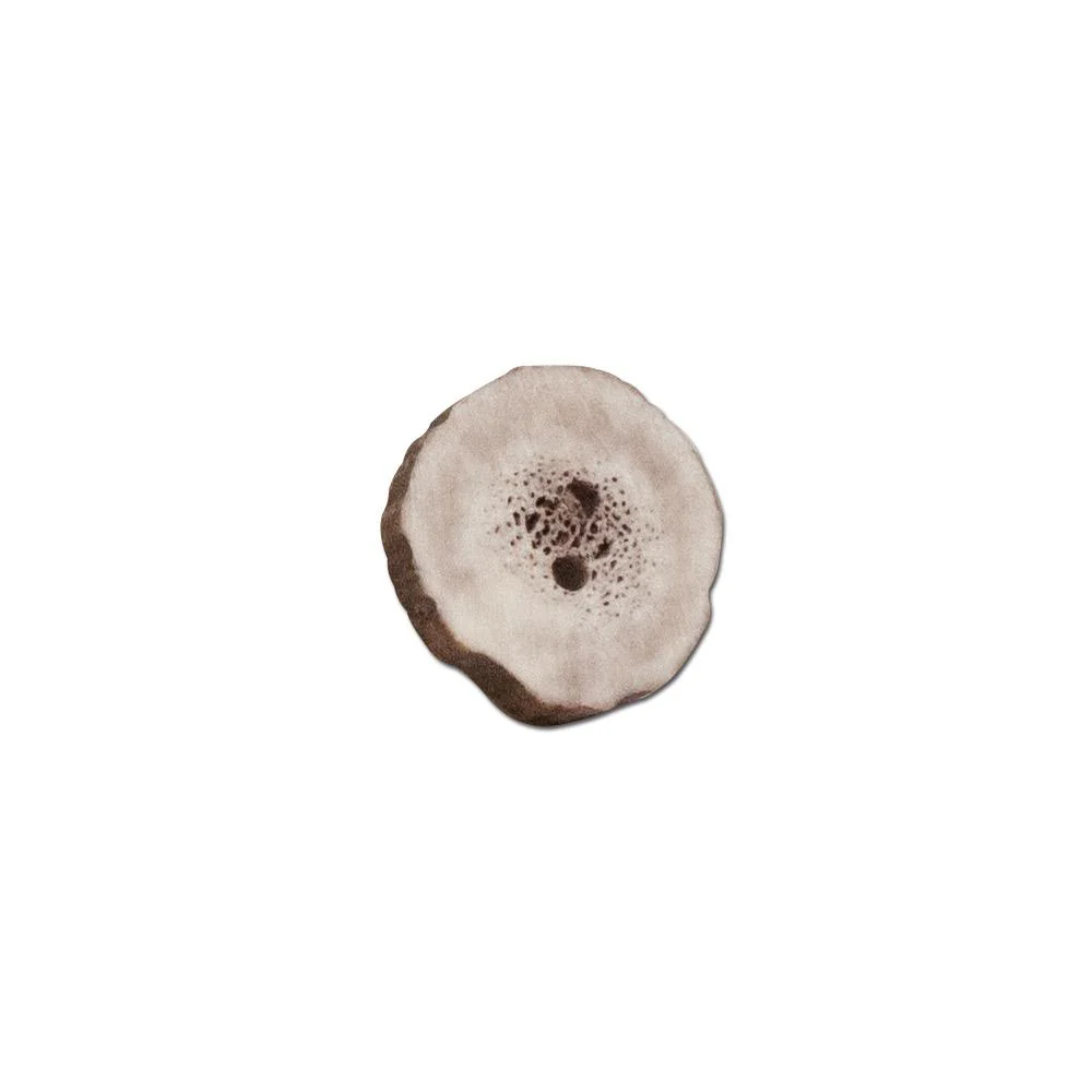 Antler Button - Image 8