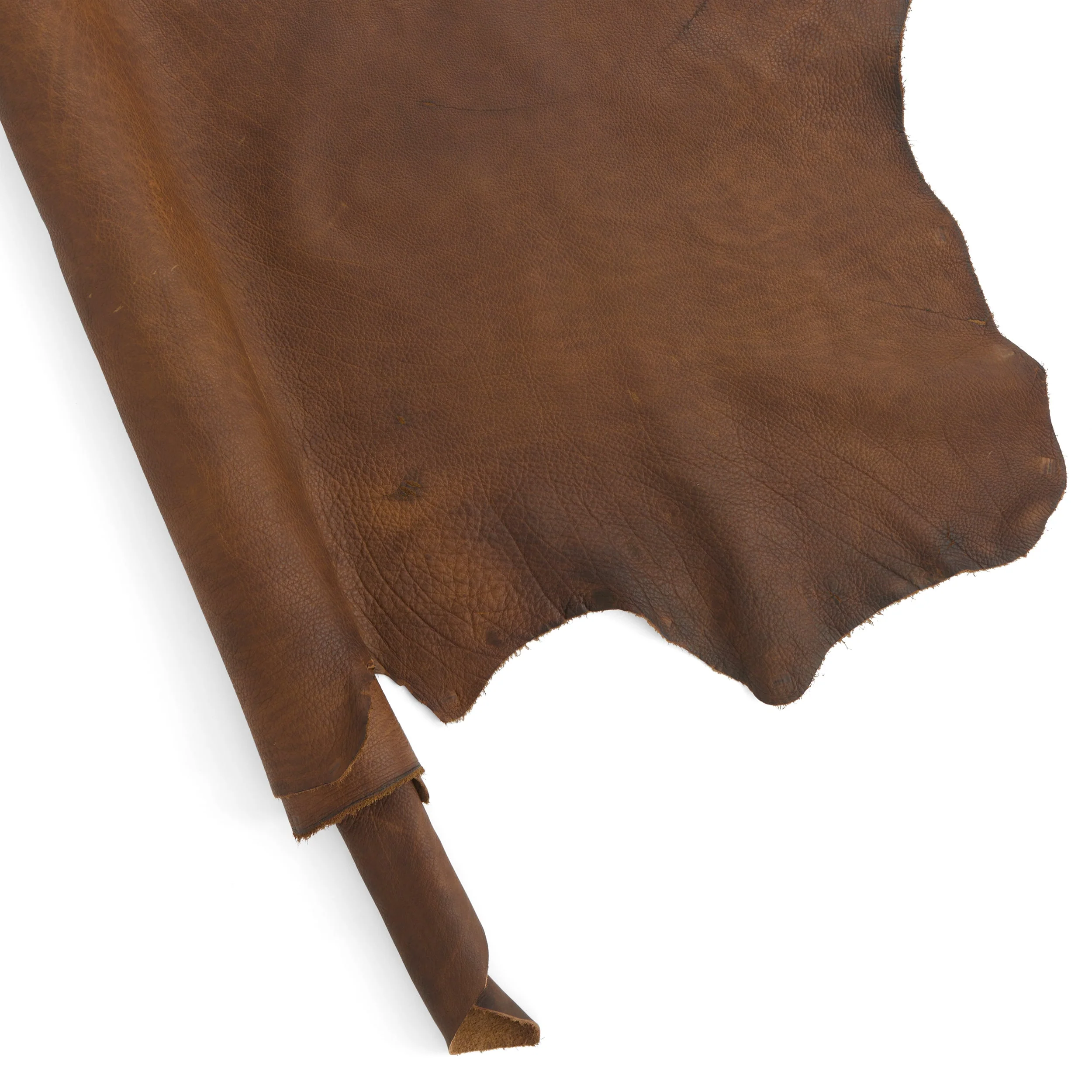 Bison Side - Image 17