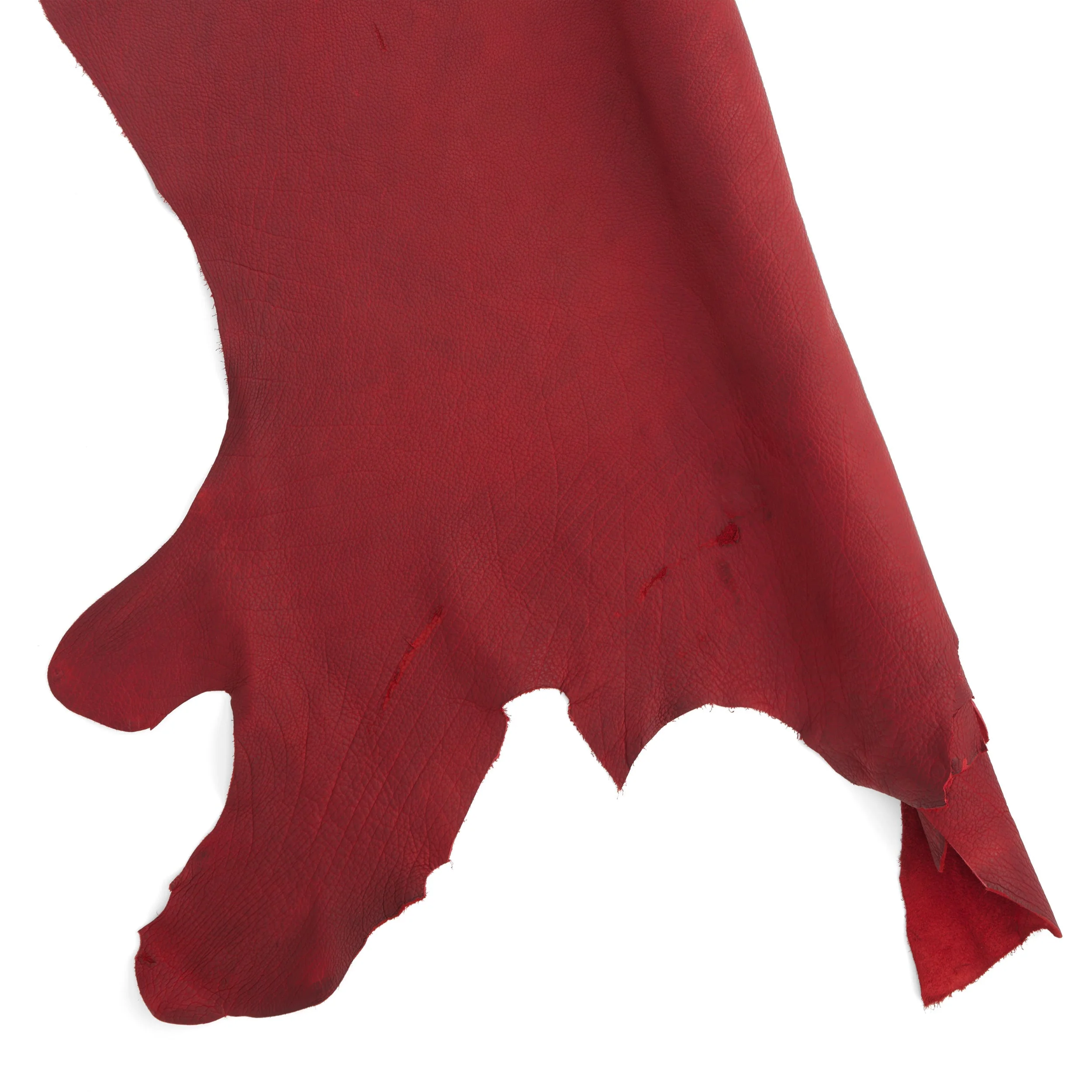 Bison Side - Image 8