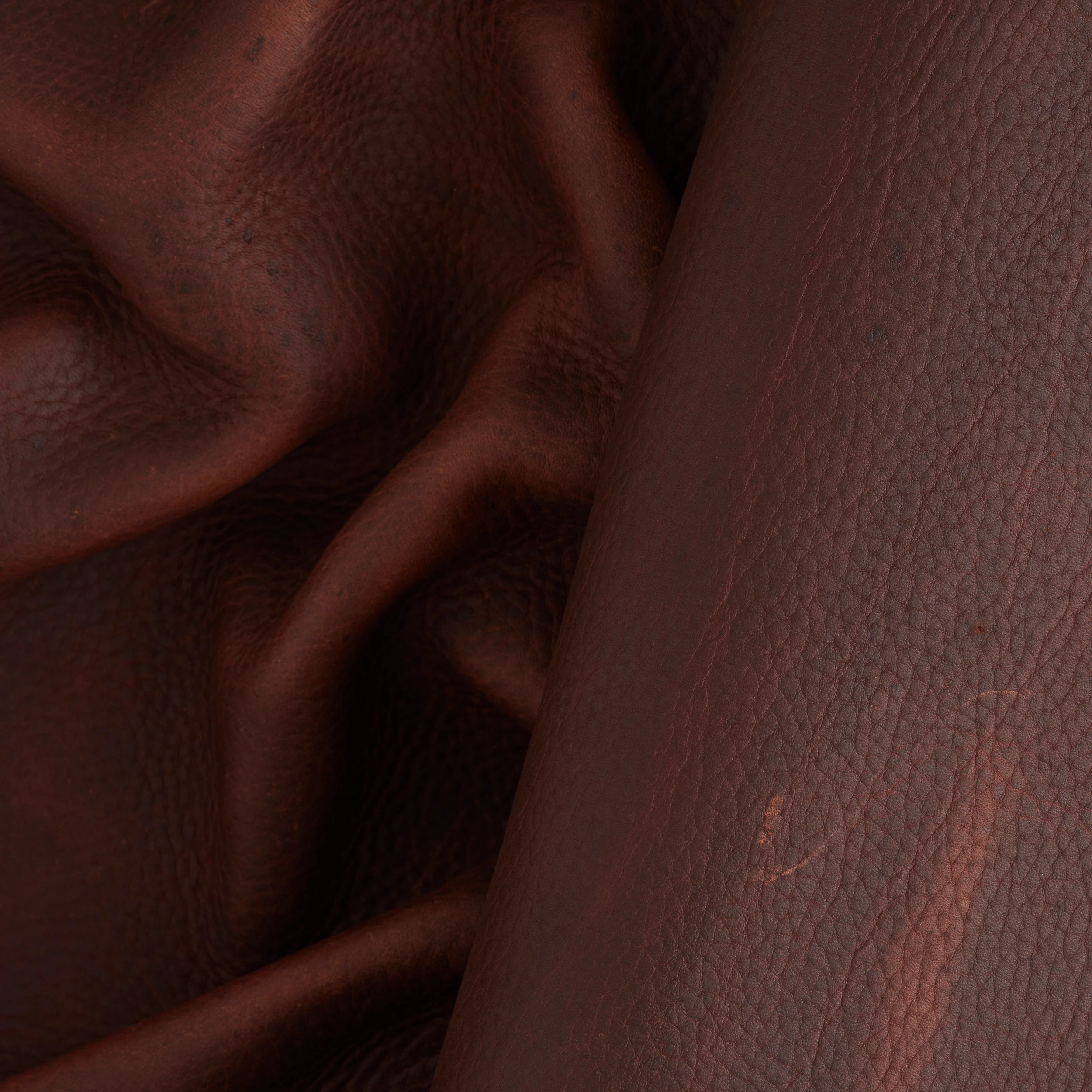Bridle Utility Side Brown - Image 2