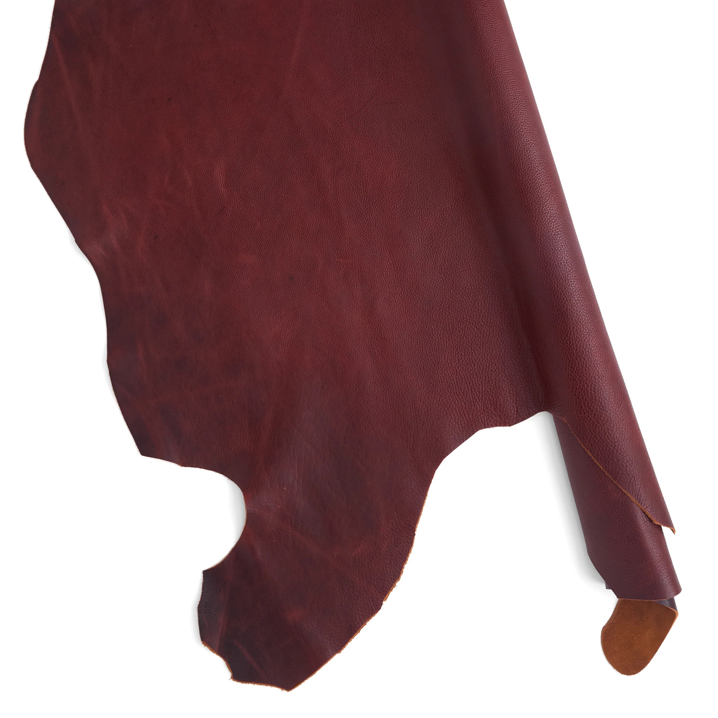 Bulldog Side - Image 30