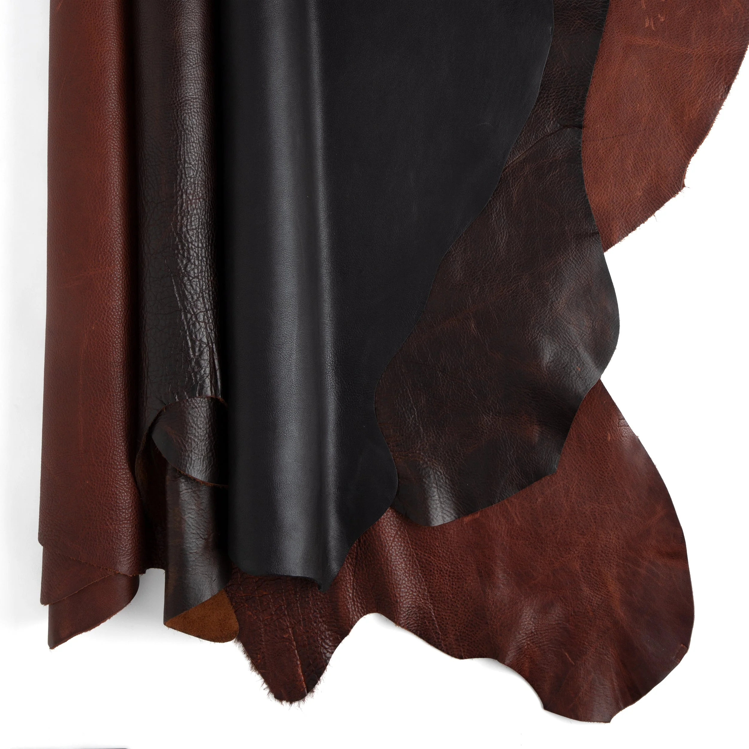 Bulldog Side - Image 6