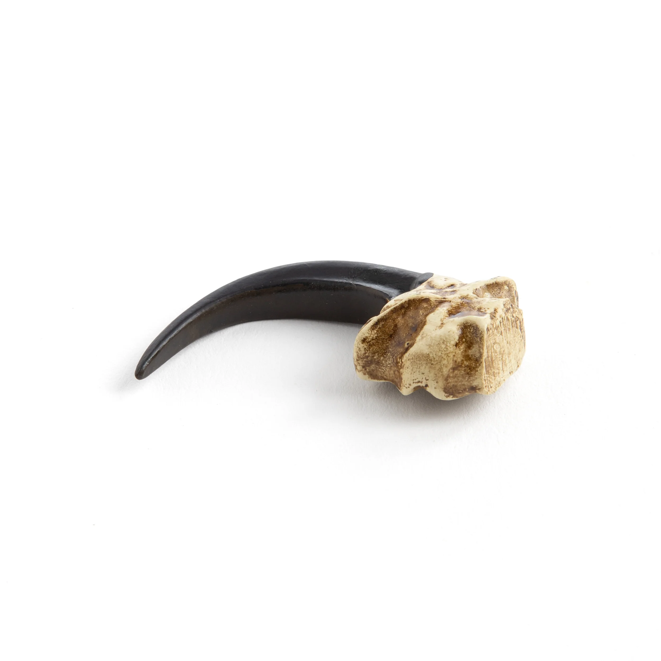 Cast Resin Eagle Claw - Image 2