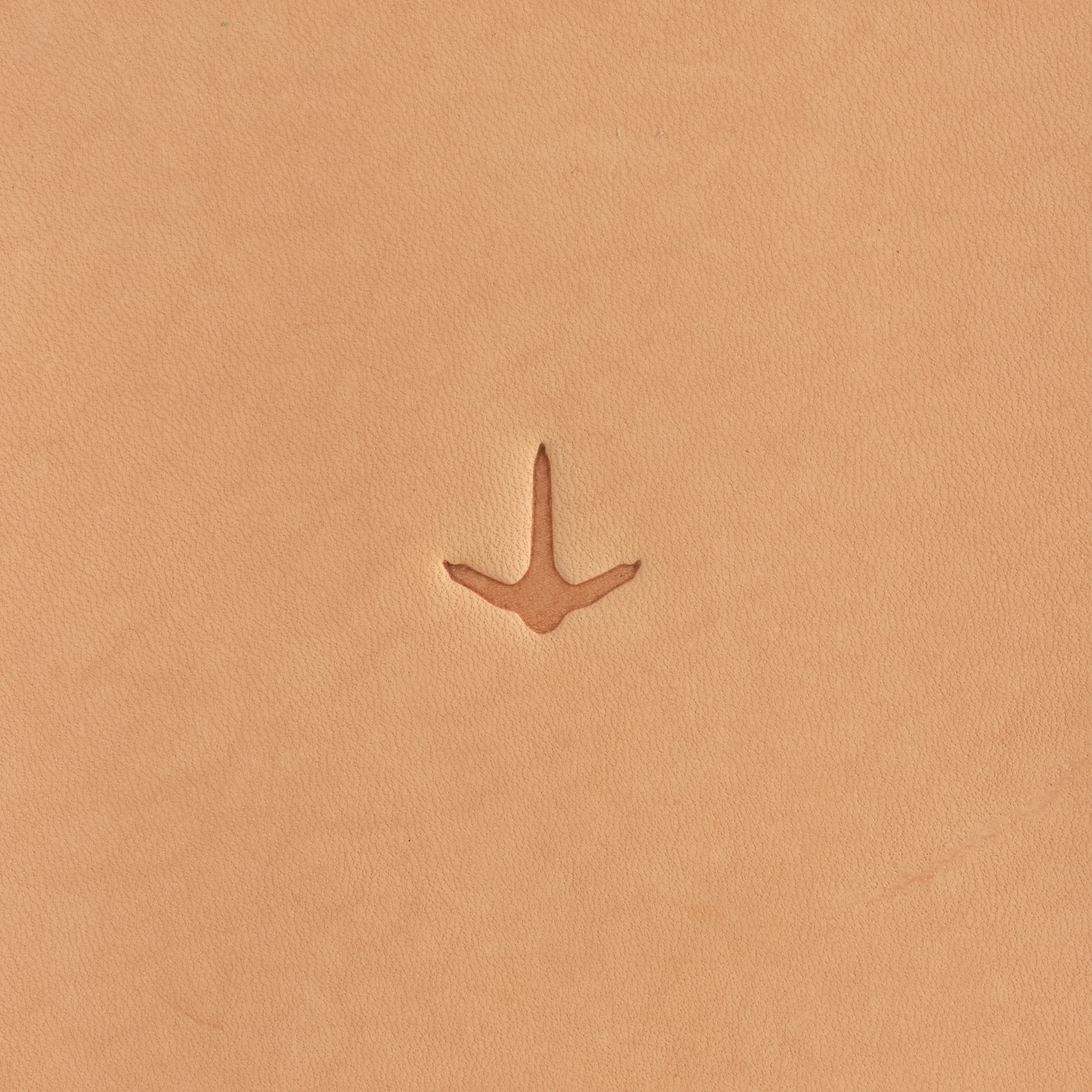 Craftool® Animal Track Stamp - Image 10