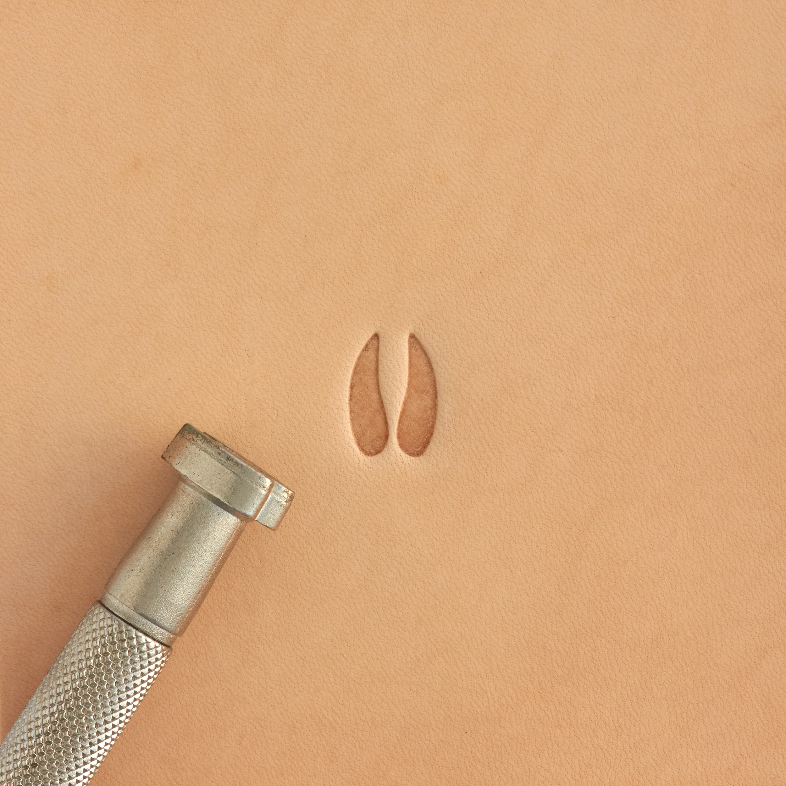 Craftool® Animal Track Stamp - Image 4