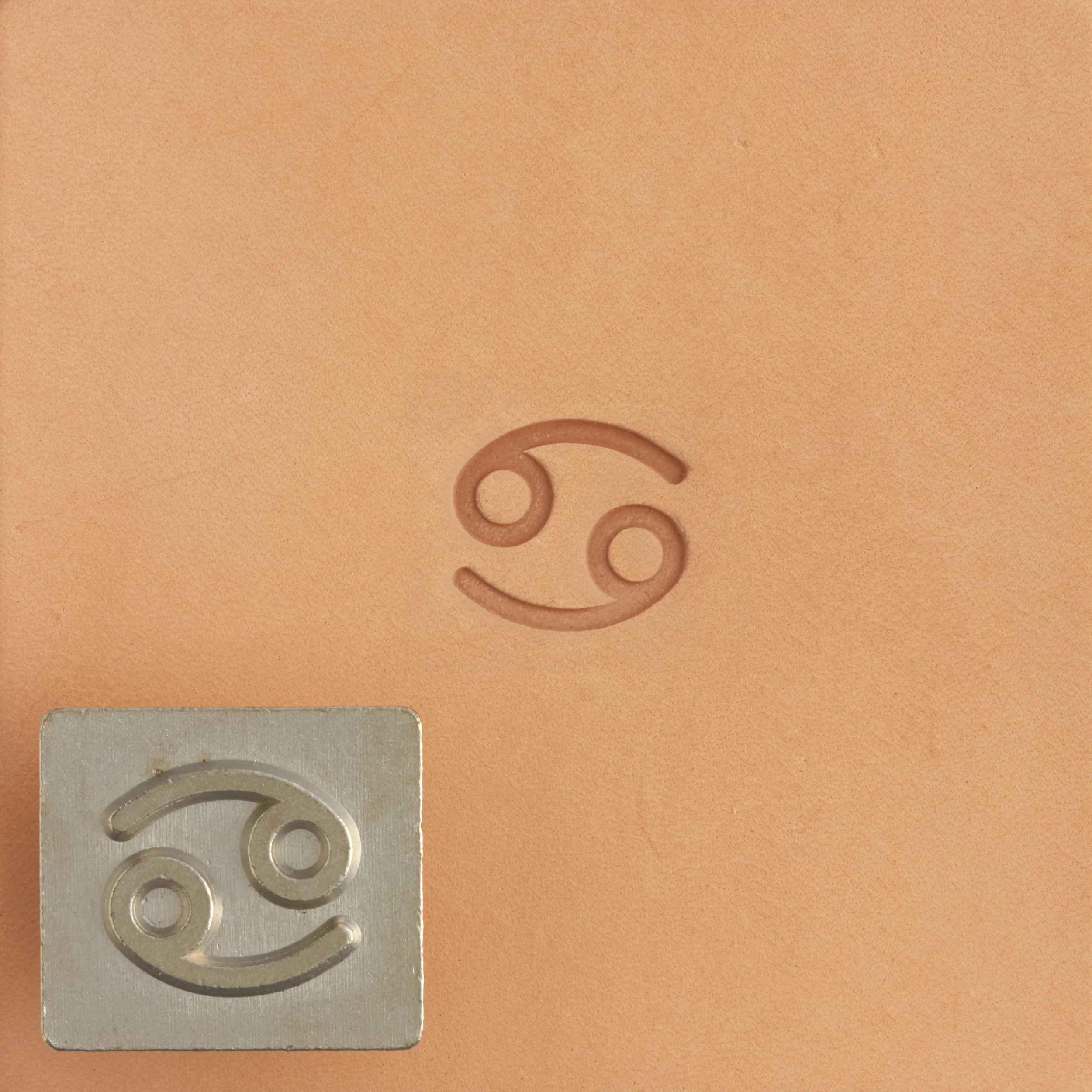 Craftool® Zodiac Stamp Set - Image 5