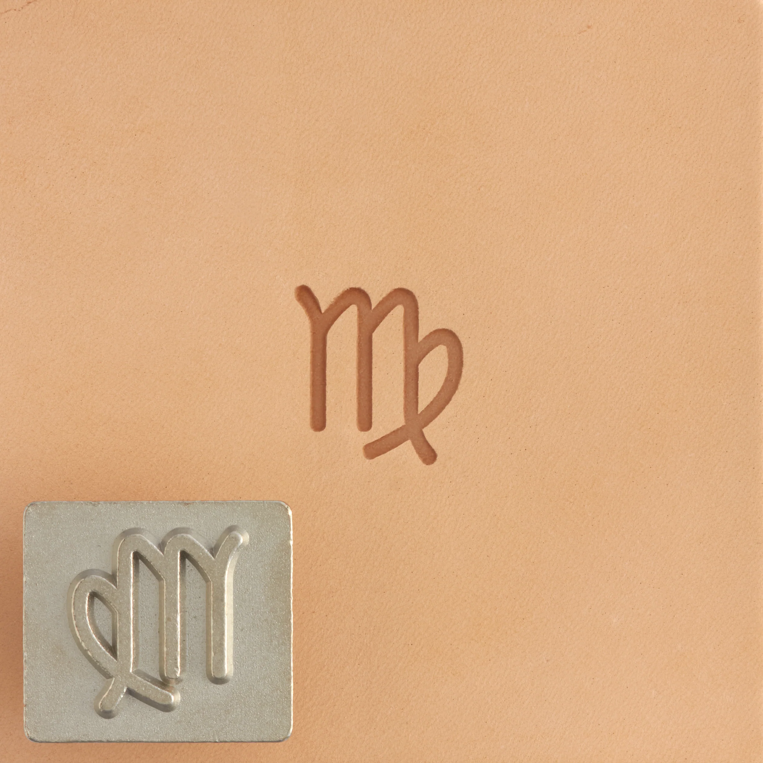 Craftool® Zodiac Stamp Set - Image 7