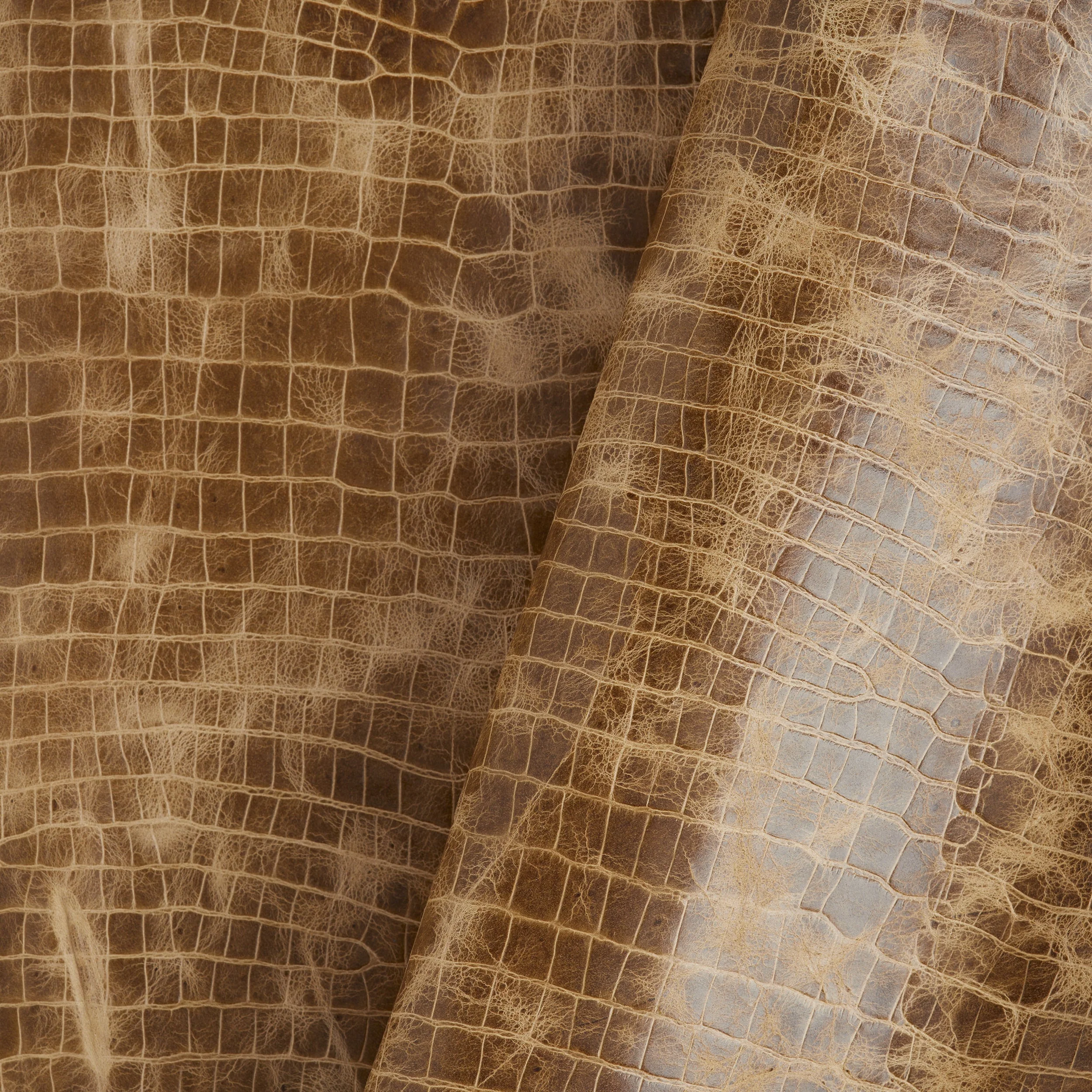 Croco Embossed Side Taupe - Image 2