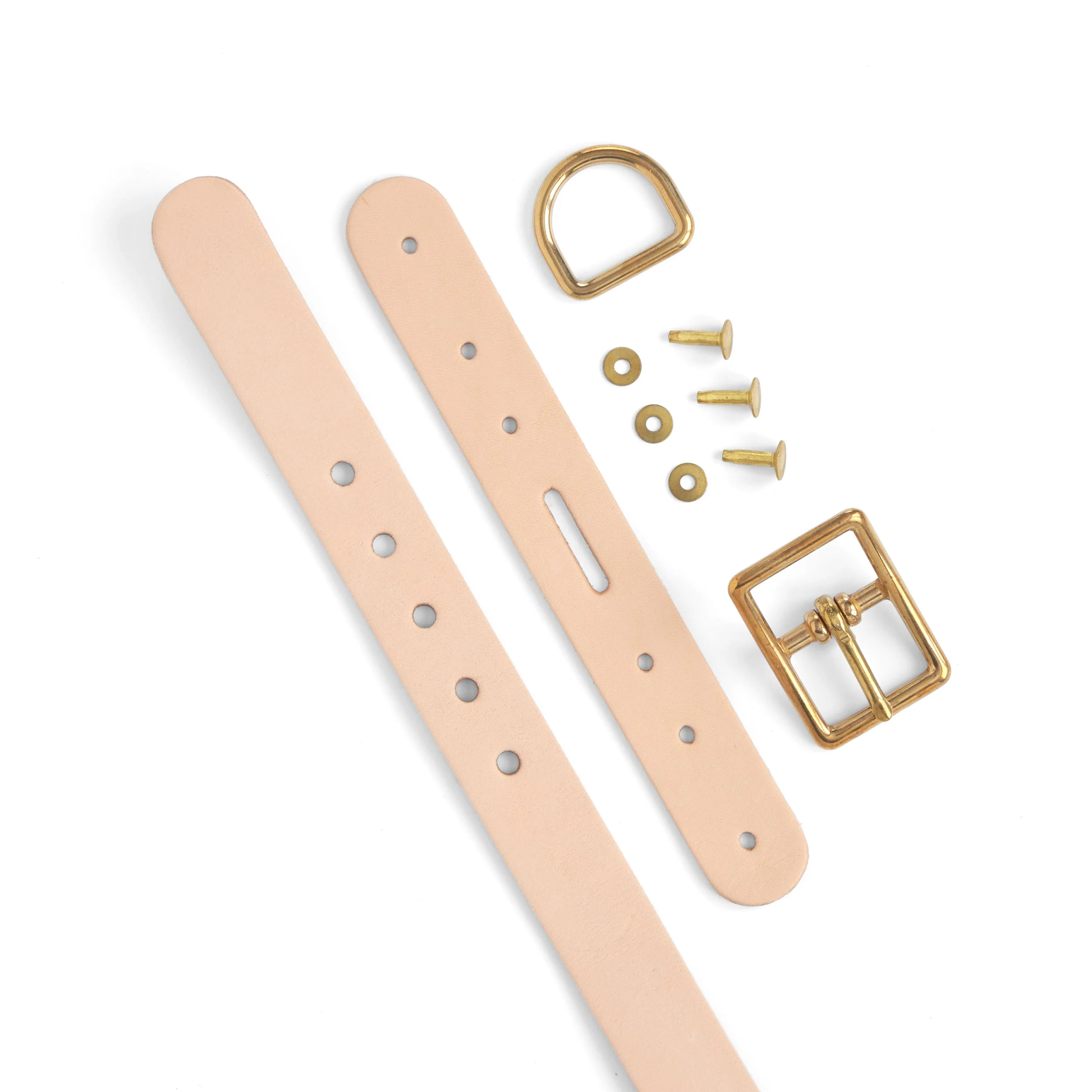 Dog Collar Kit - Image 4