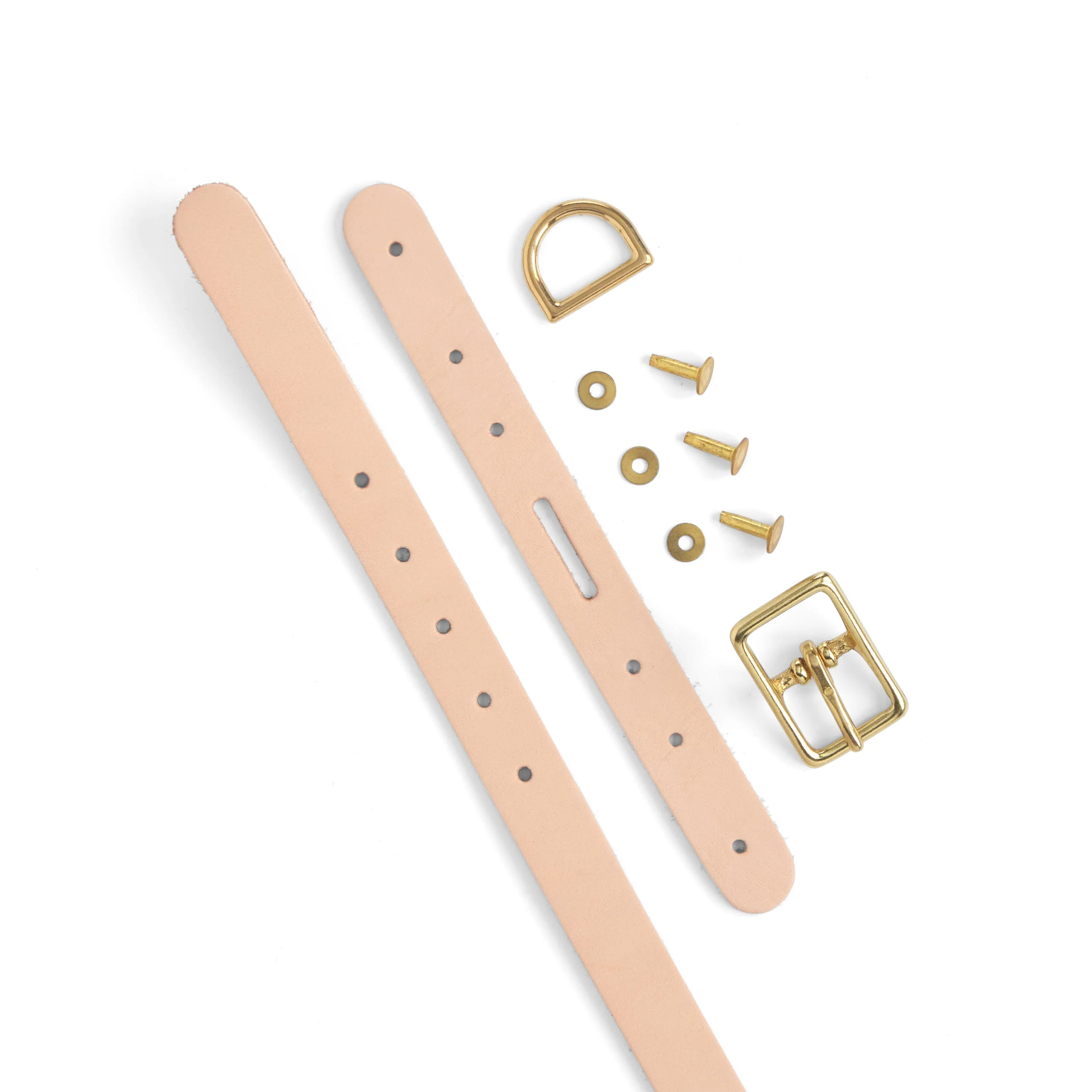 Dog Collar Kit - Image 5