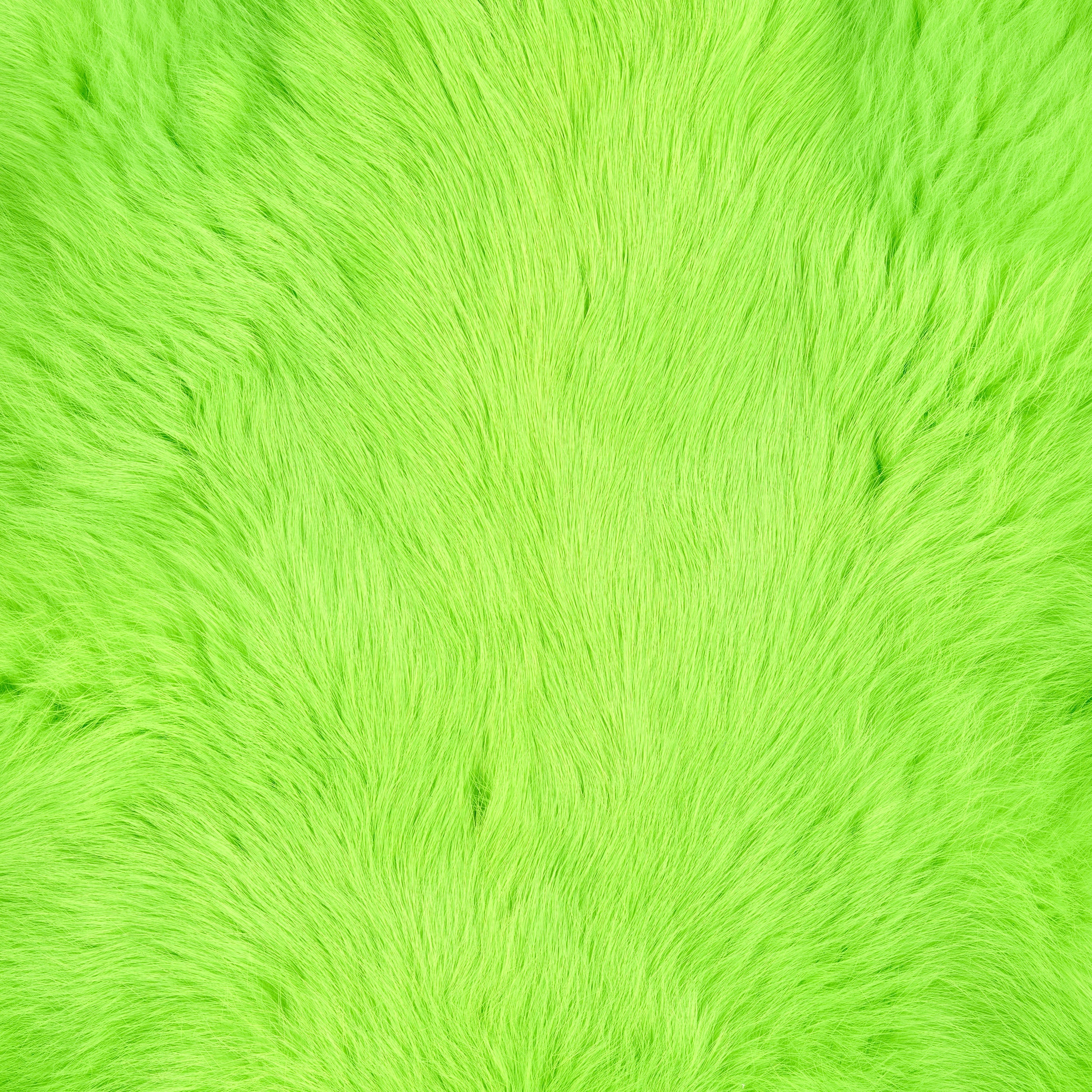 Dyed Rabbit Skin - Image 4