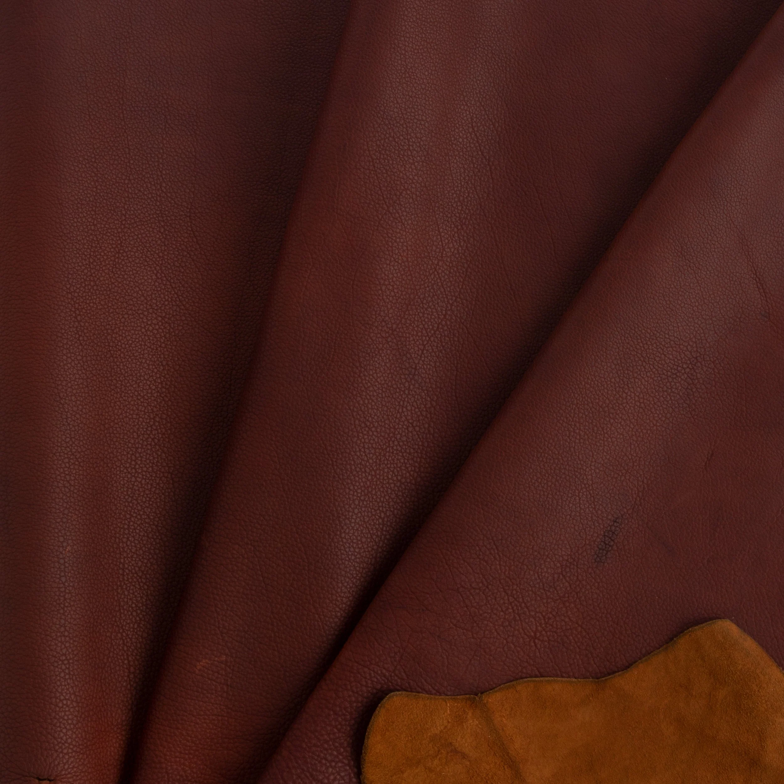 Frontier Bison Side - Image 3