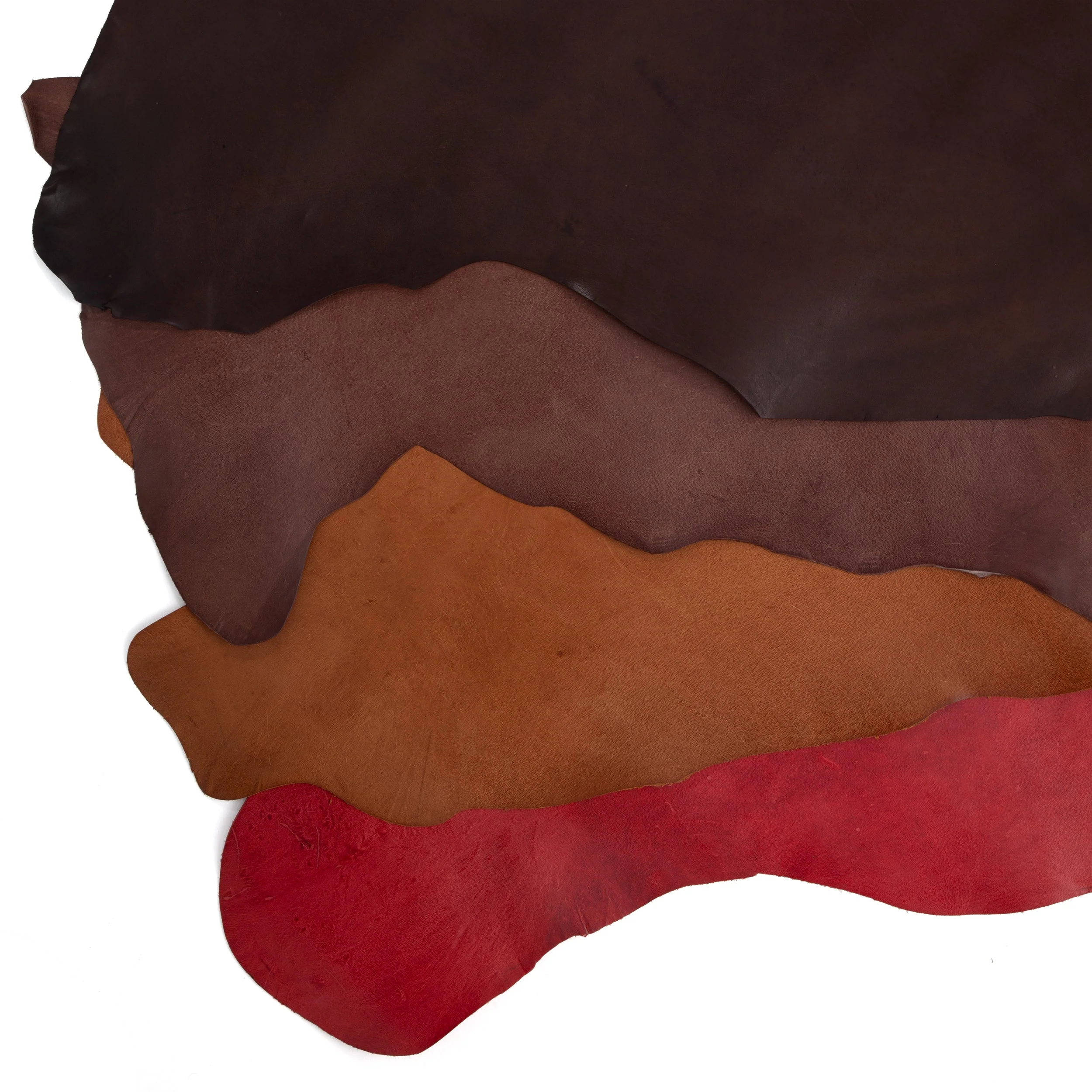 Glazed Kangaroo Skin - Image 2