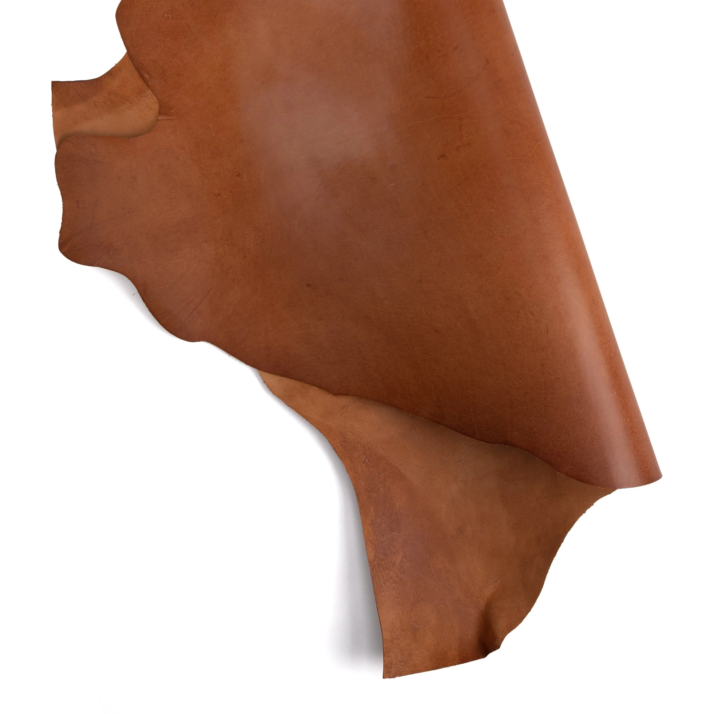 Glazed Kangaroo Skin - Image 8