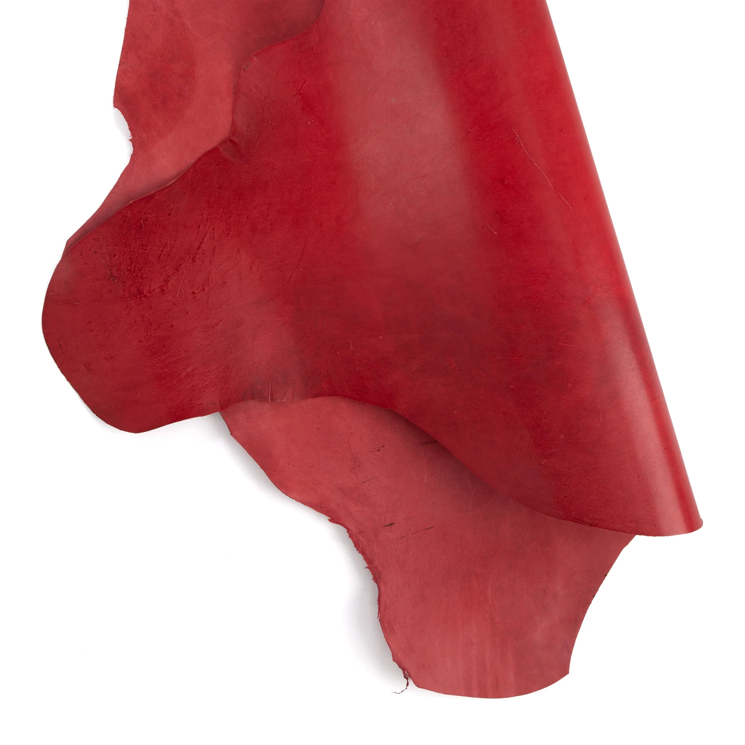 Glazed Kangaroo Skin - Image 9