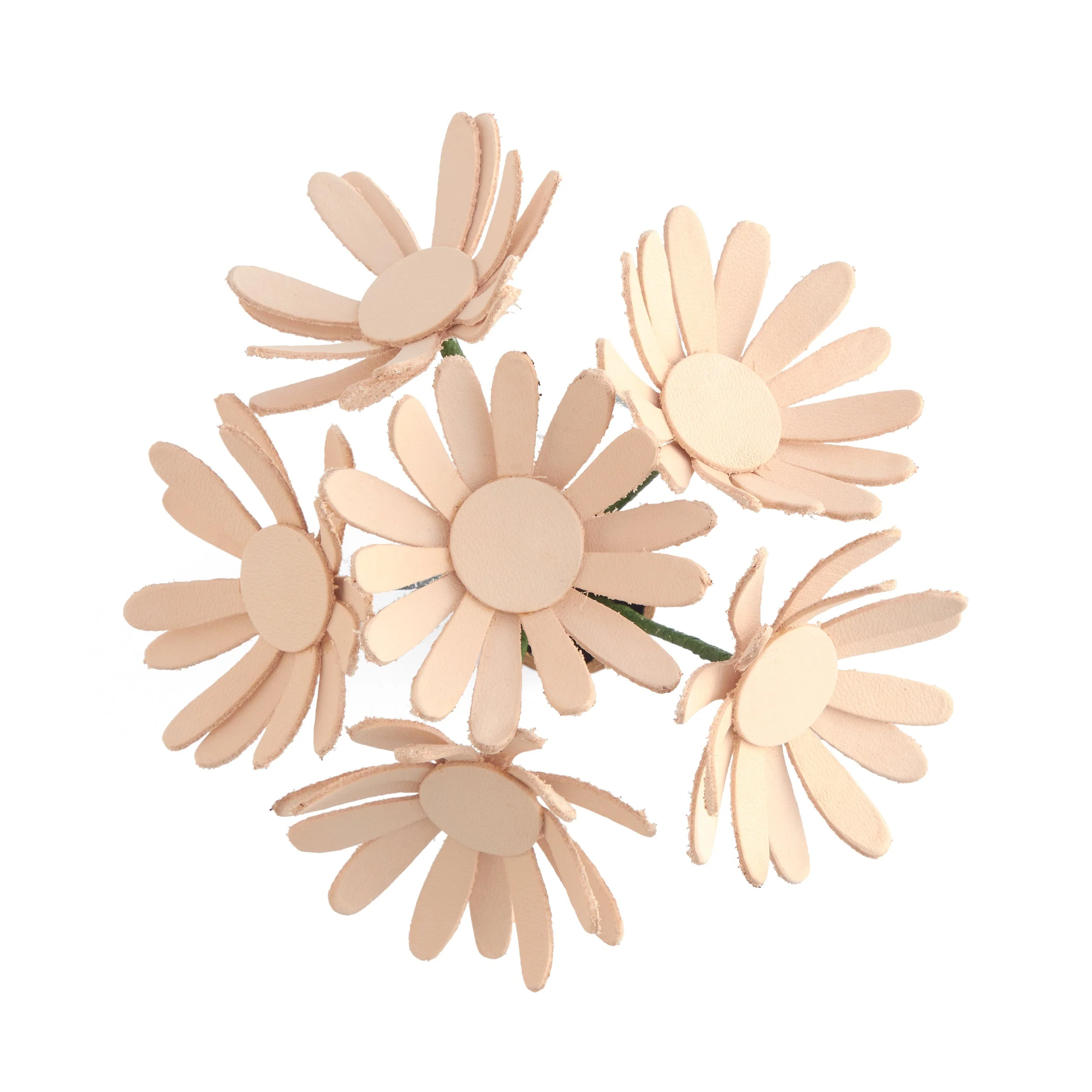 Daisy Kit 6 Pack - Image 3