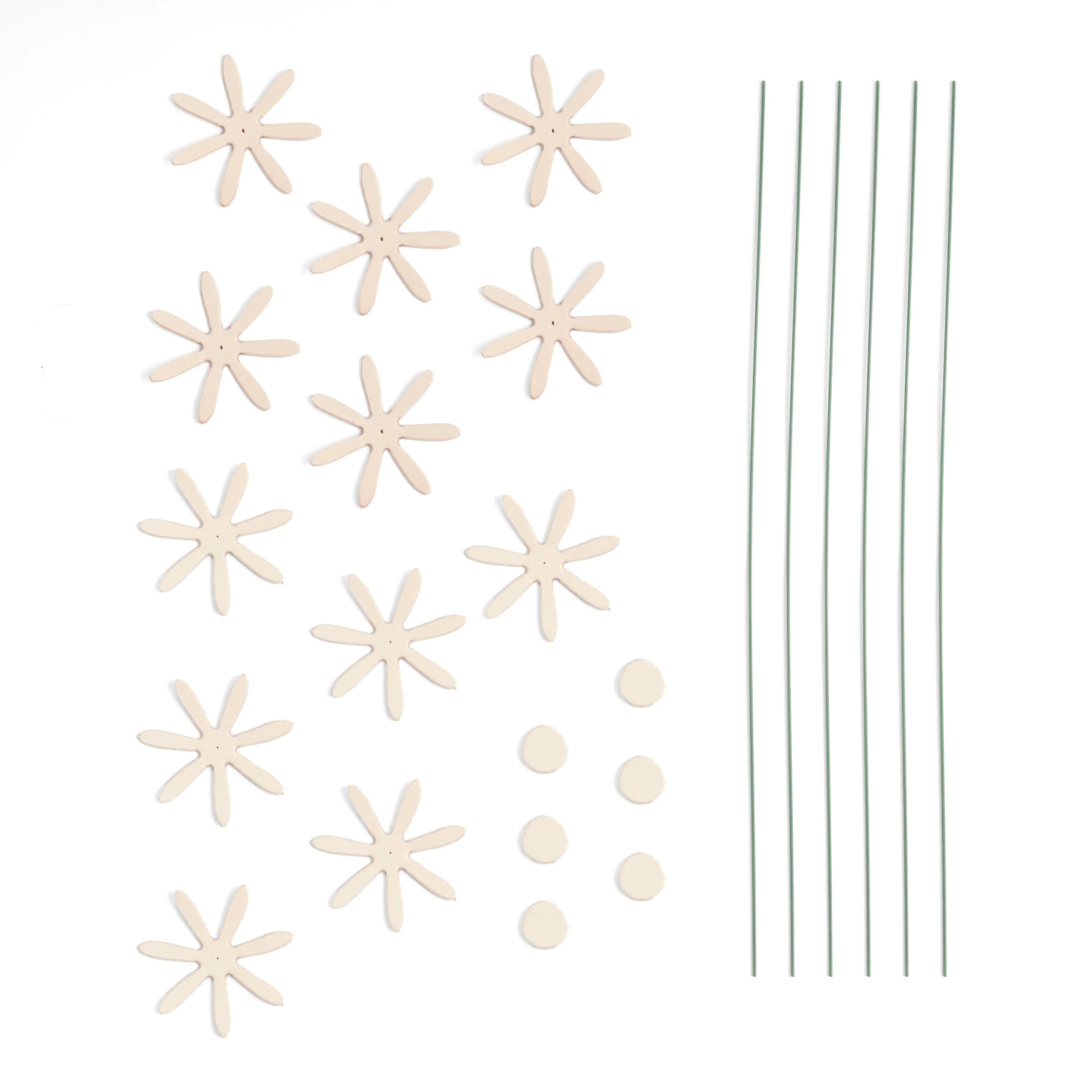 Daisy Kit 6 Pack - Image 4