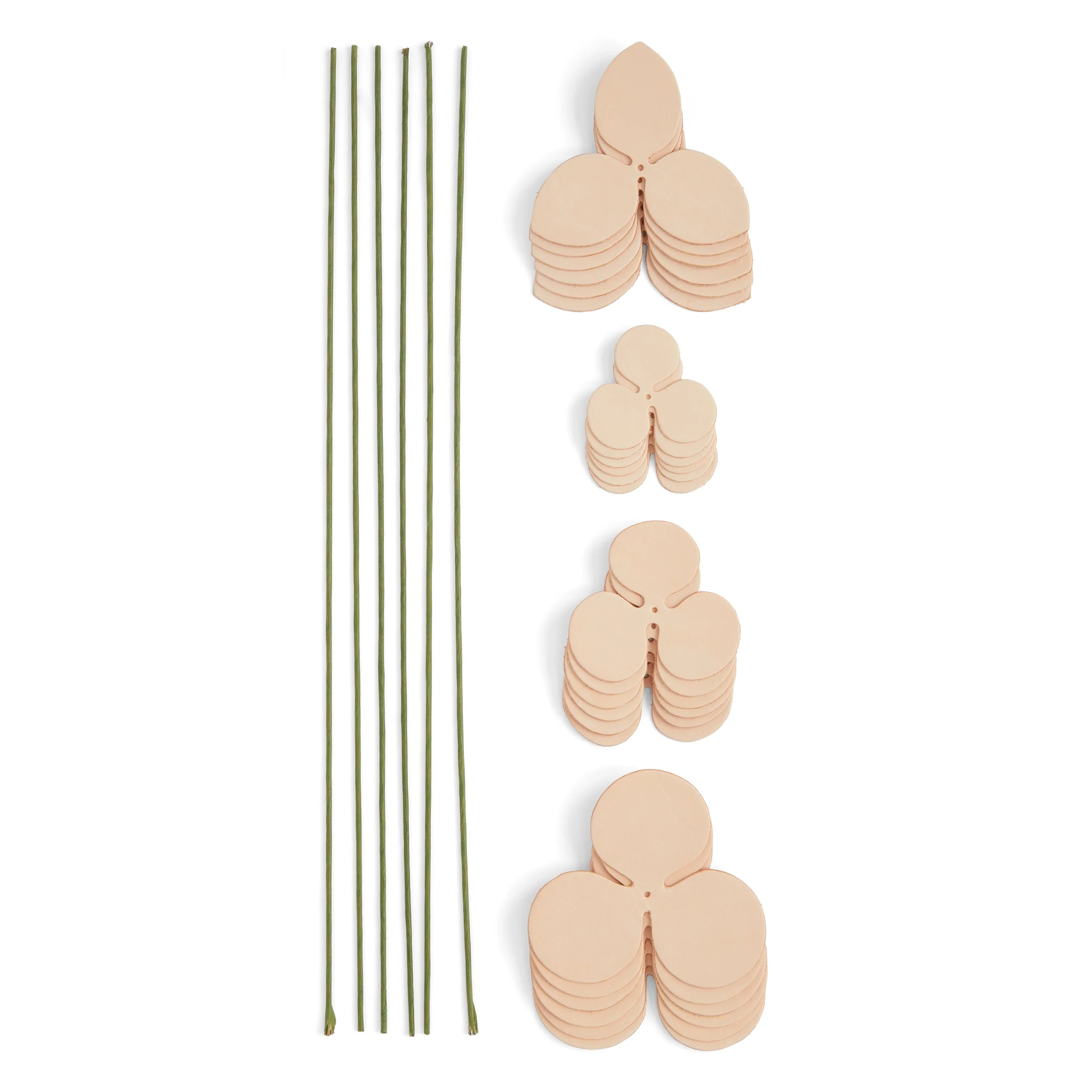 Rose Kit 6 Pack - Image 2