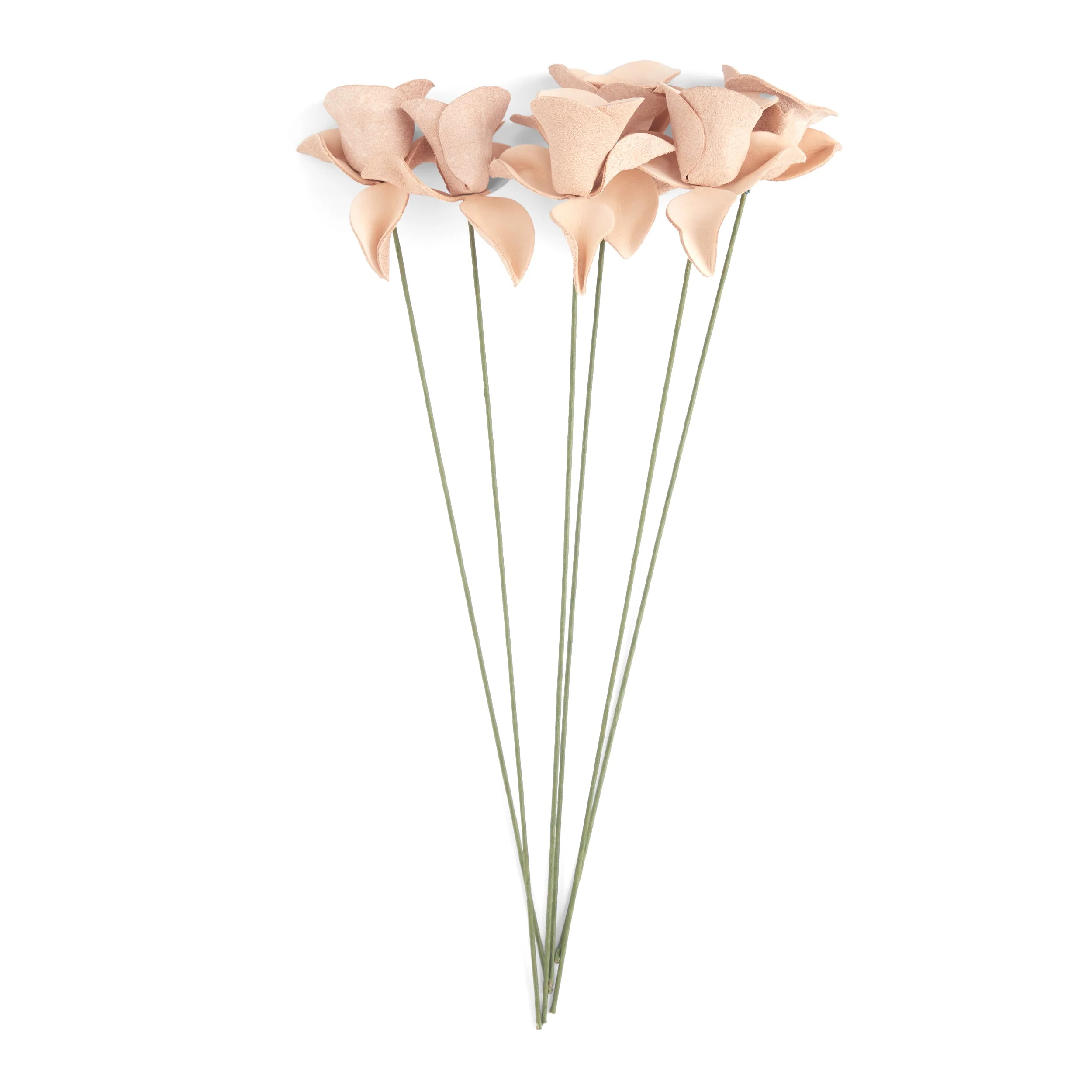 Rose Kit 6 Pack - Image 3