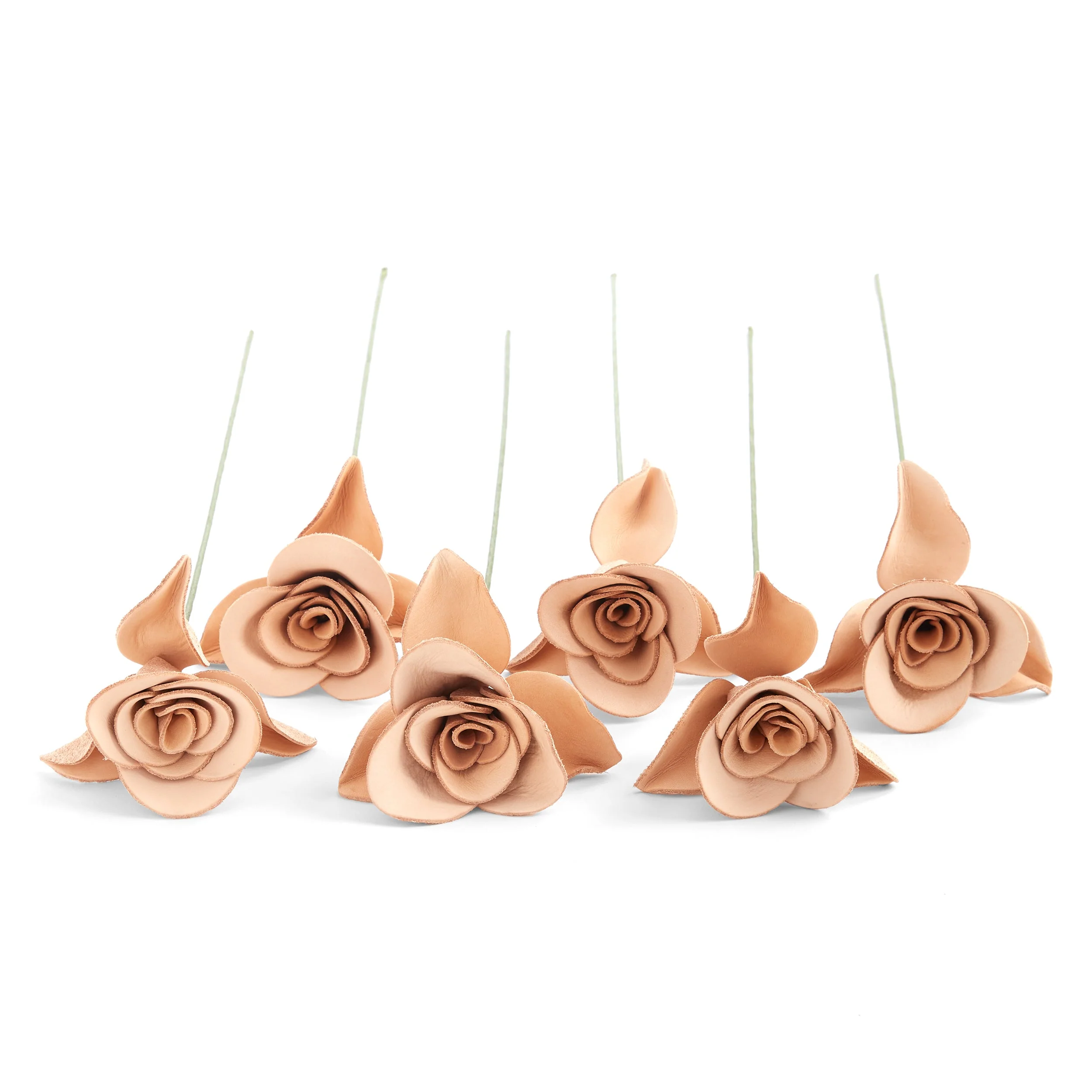 Rose Kit 6 Pack - Image 4