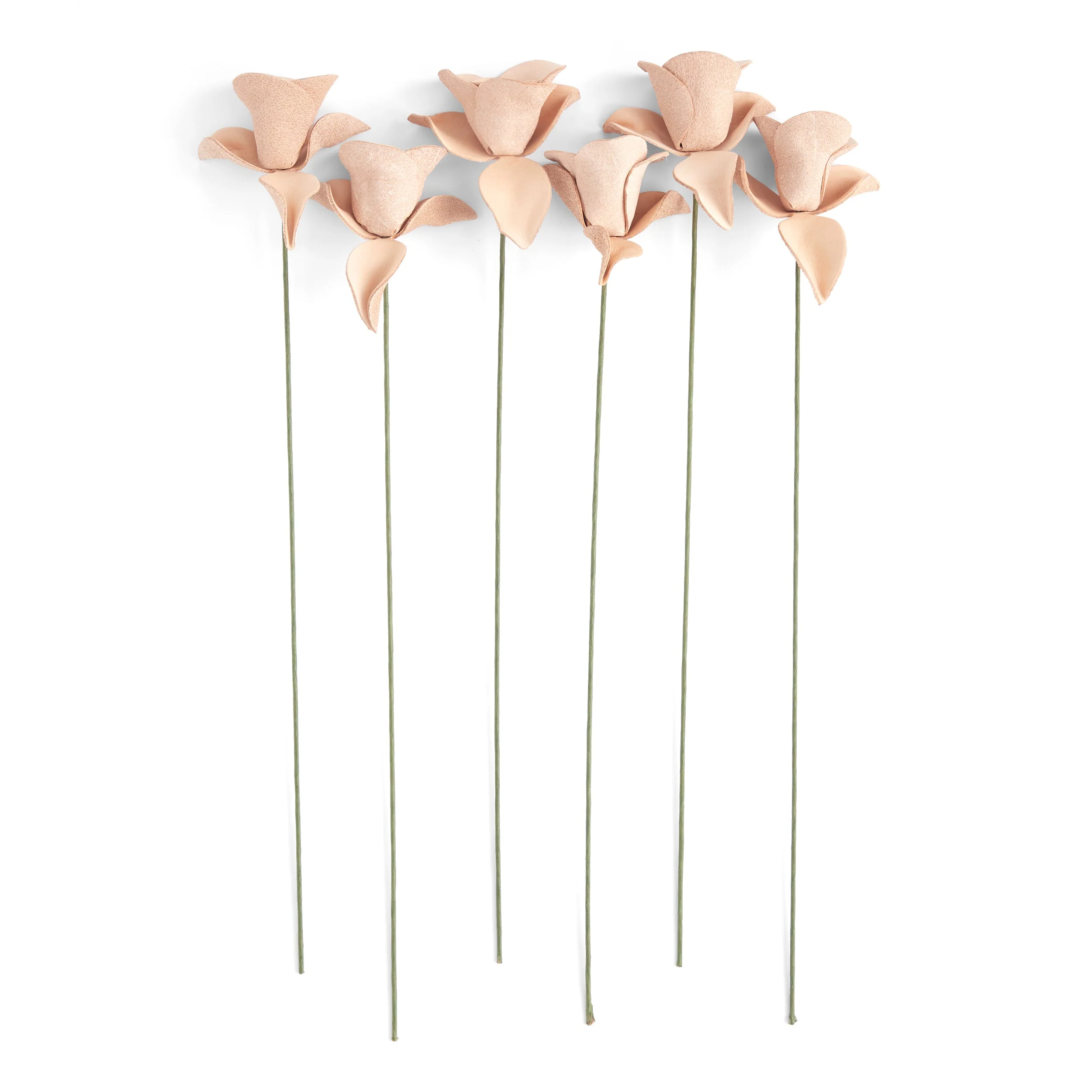 Rose Kit 6 Pack - Image 5