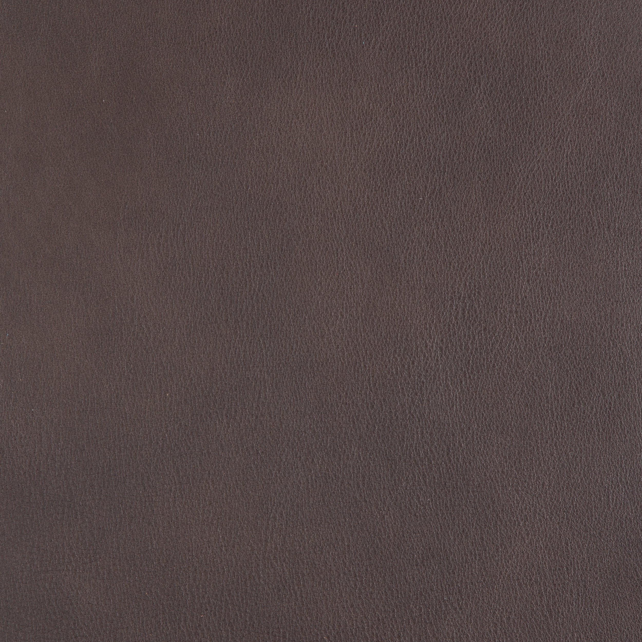 Kaleidoscope Tosca Whole Hide - Image 12