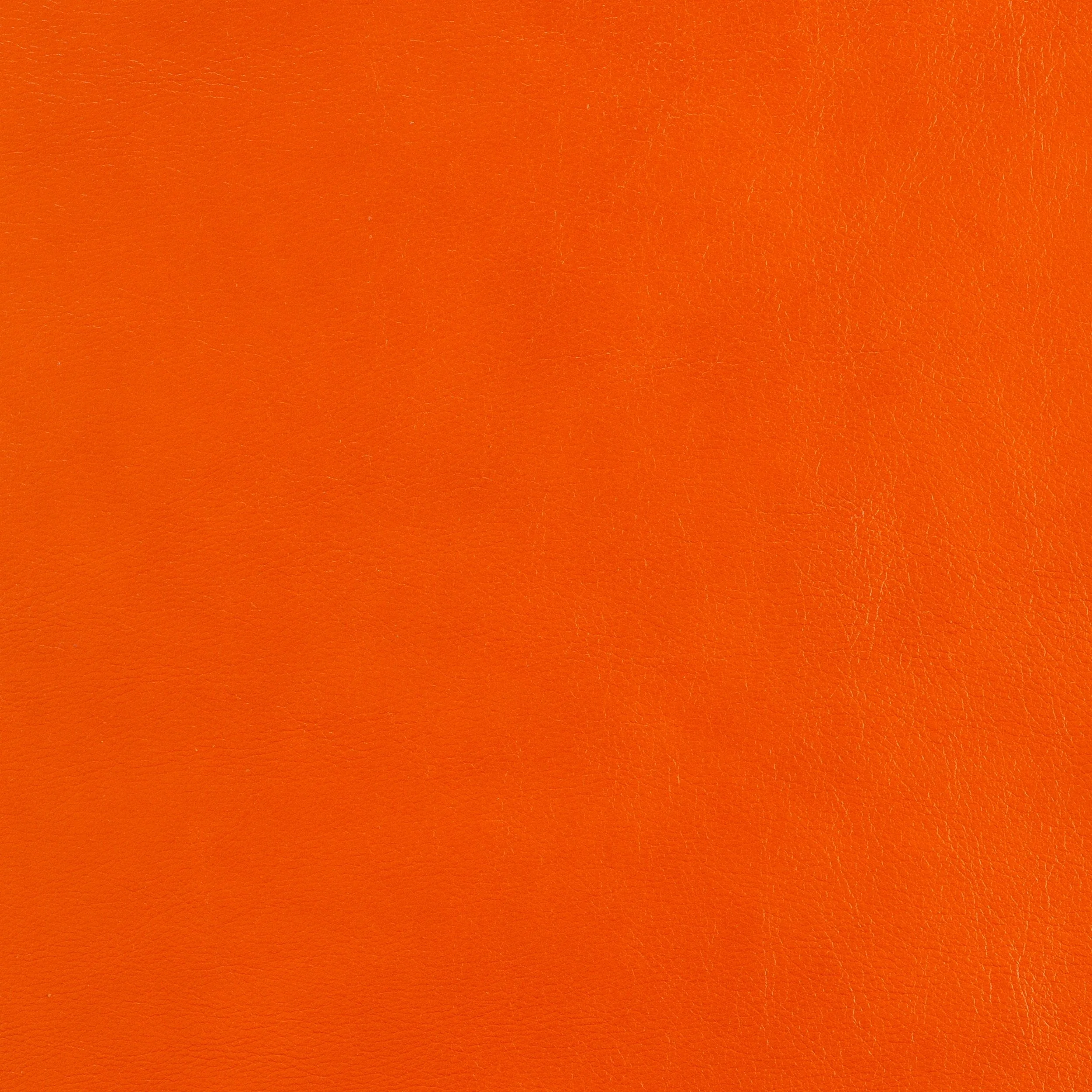 Kaleidoscope Classic Whole Hide - Image 10