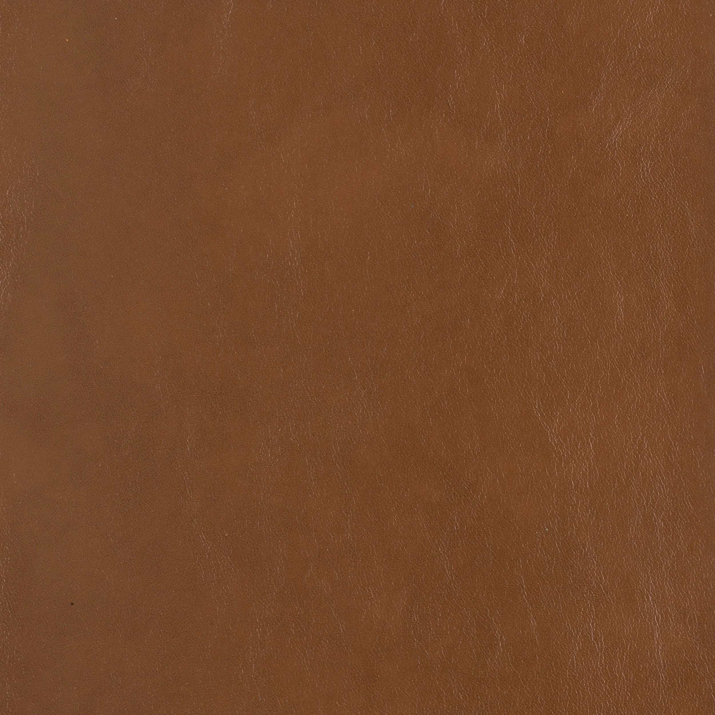 Kaleidoscope Classic Whole Hide - Image 11