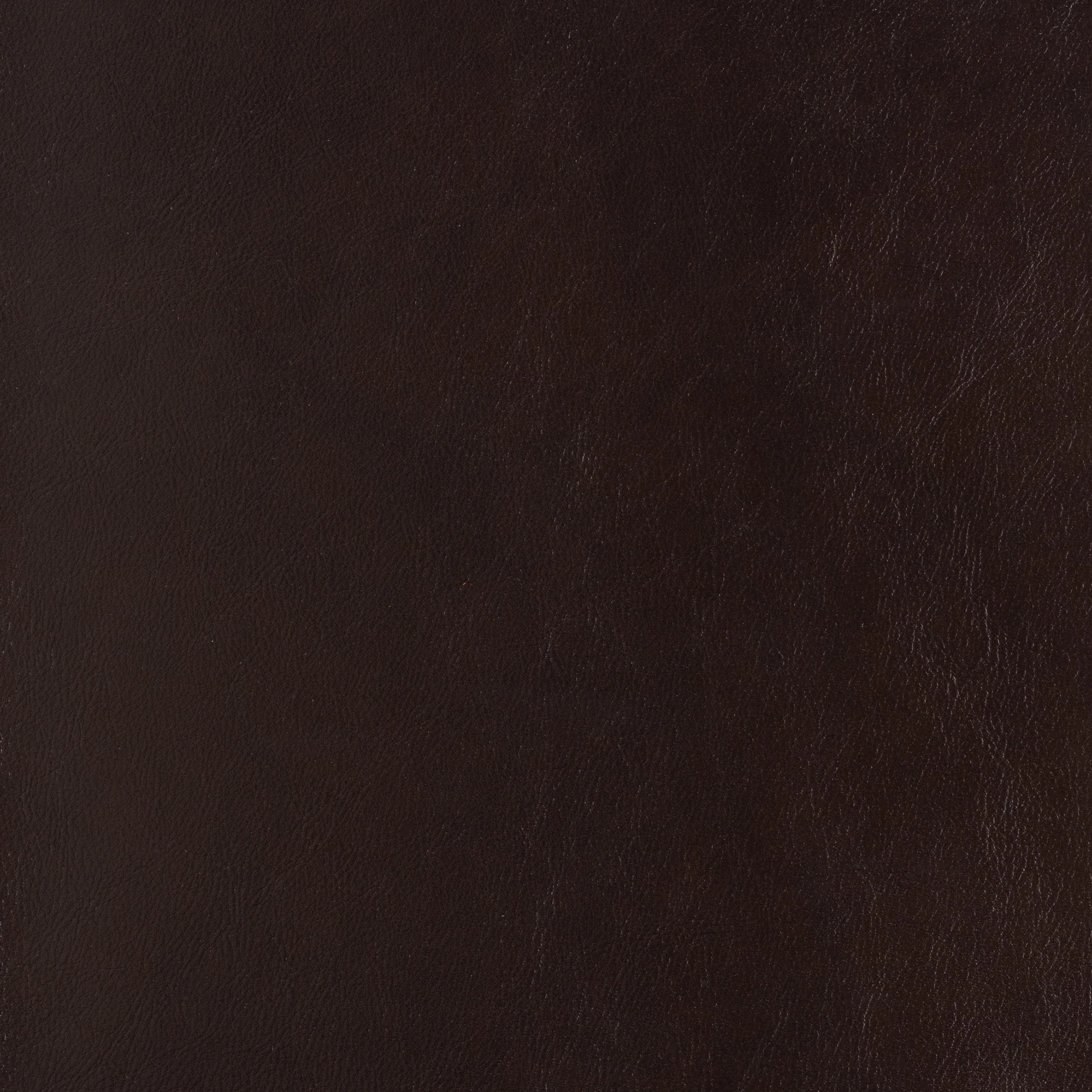 Kaleidoscope Classic Whole Hide - Image 12