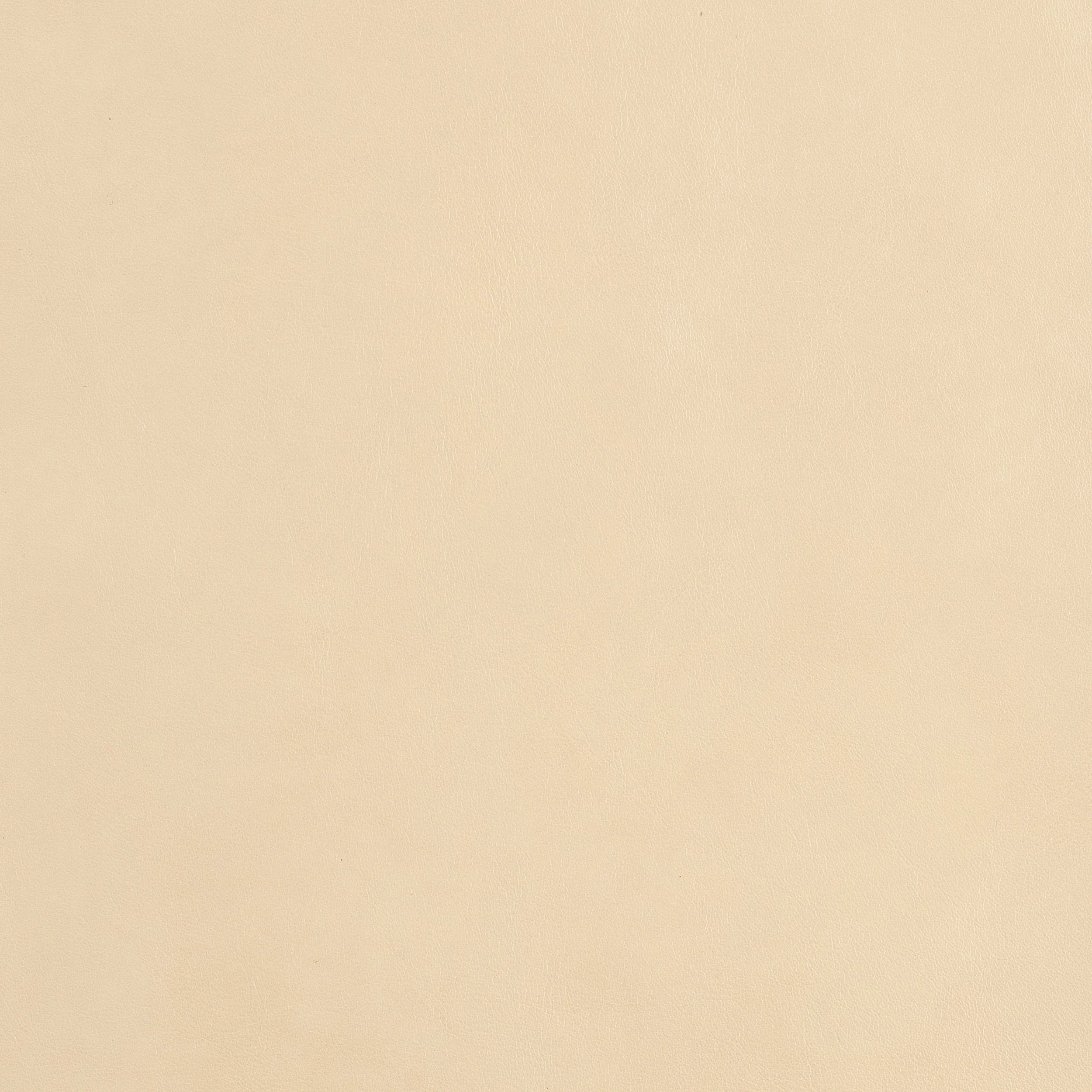 Kaleidoscope Classic Whole Hide - Image 15