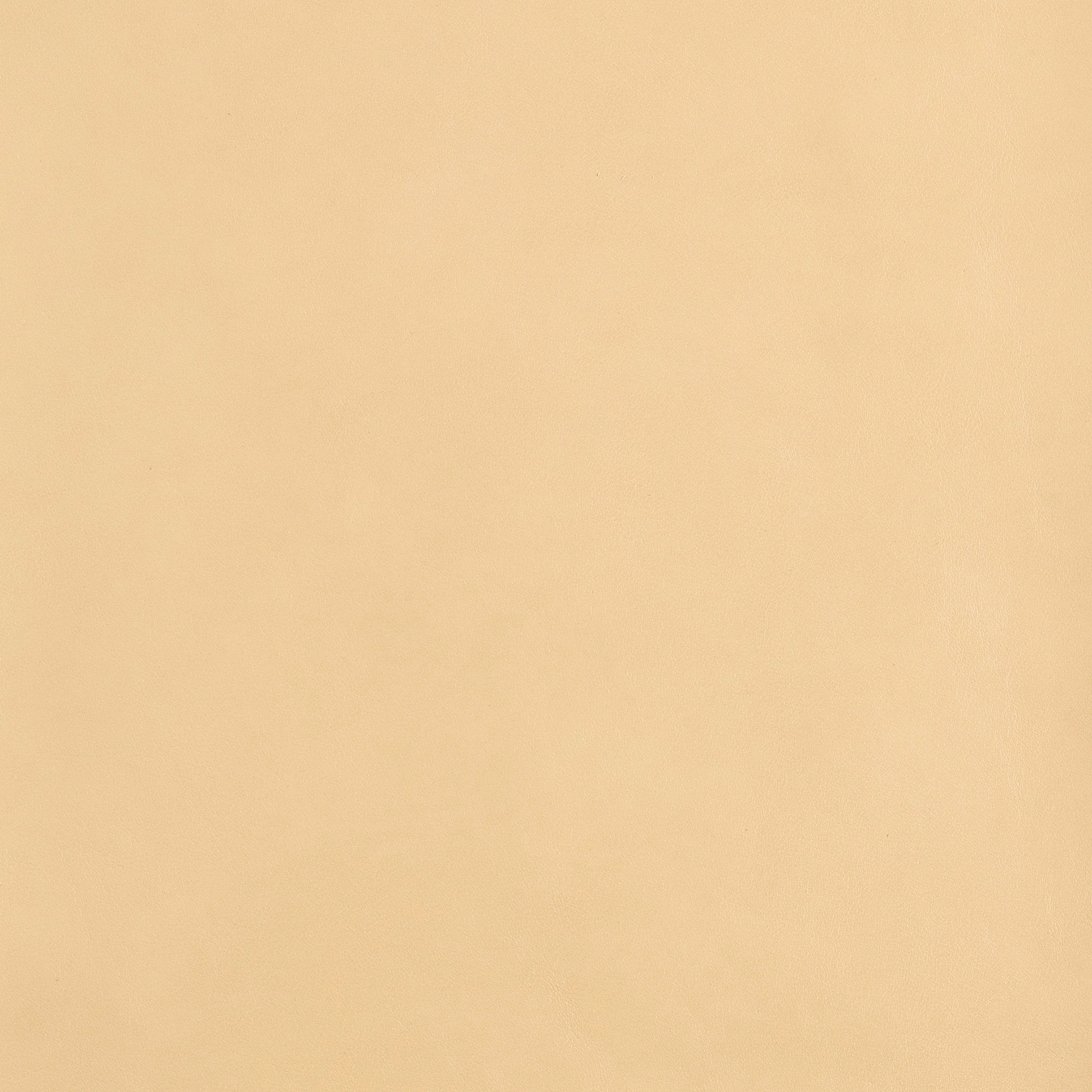 Kaleidoscope Classic Whole Hide - Image 25
