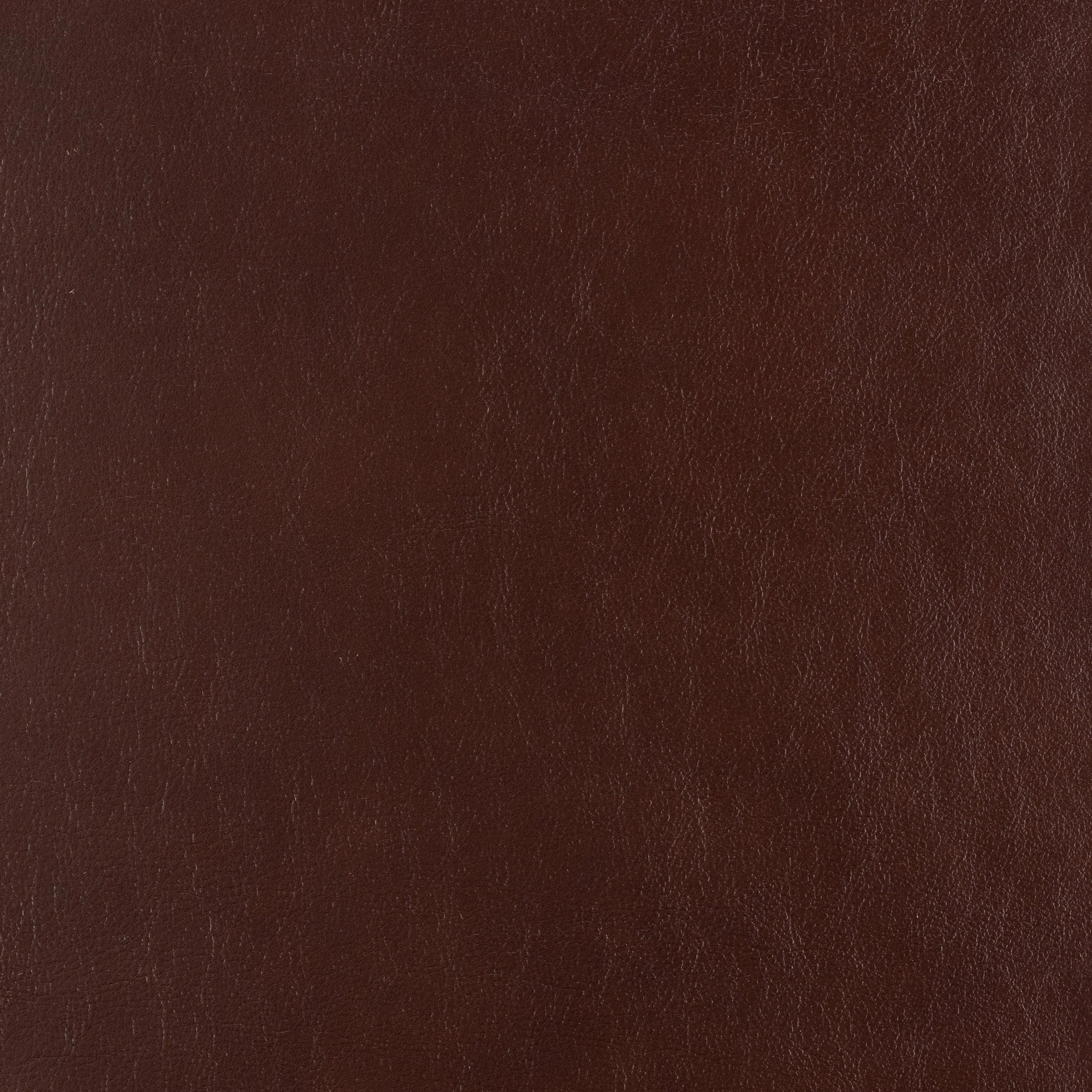 Kaleidoscope Classic Whole Hide - Image 5