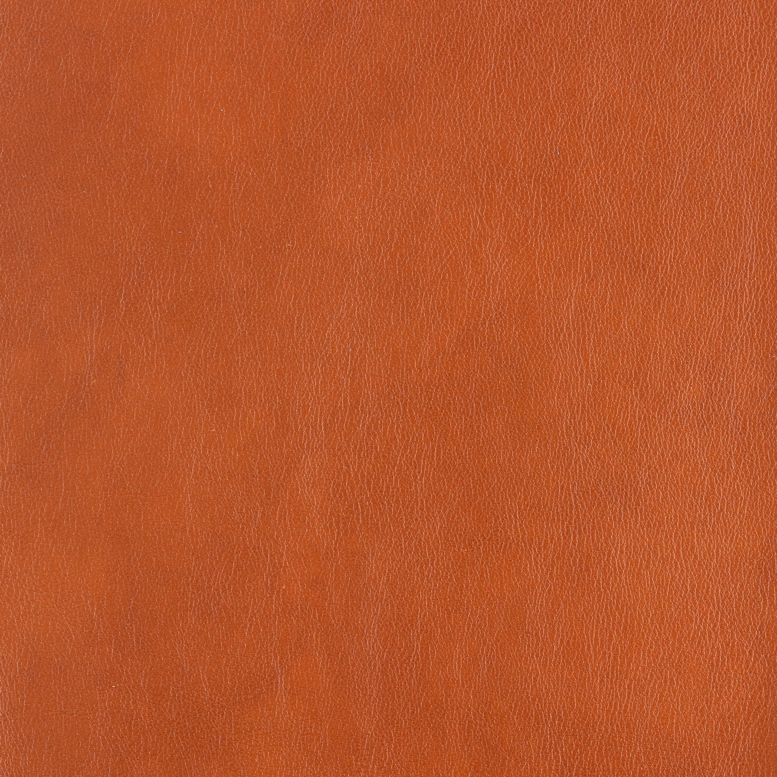 Kaleidoscope Classic Whole Hide - Image 6