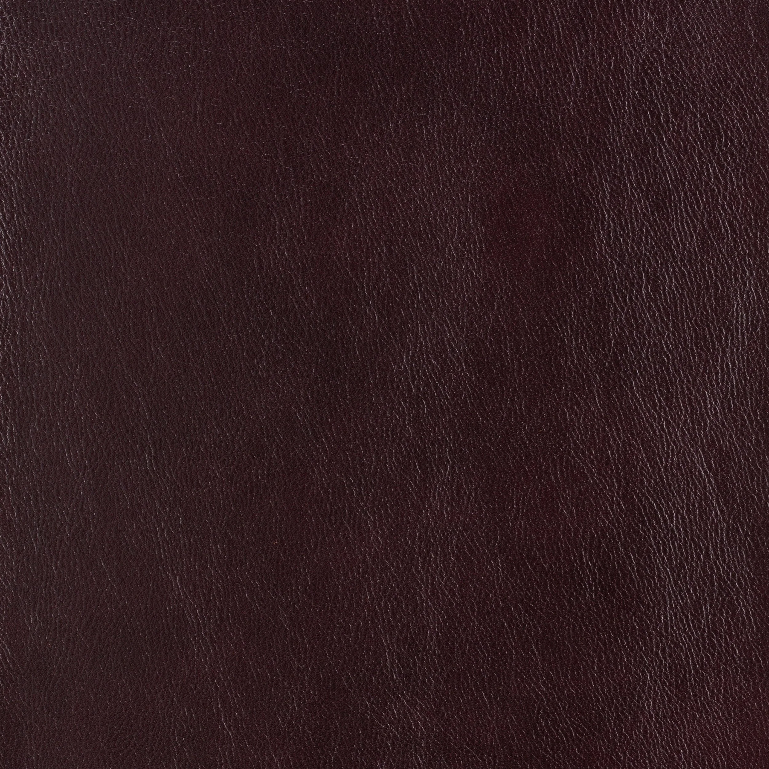 Kaleidoscope Classic Whole Hide - Image 9