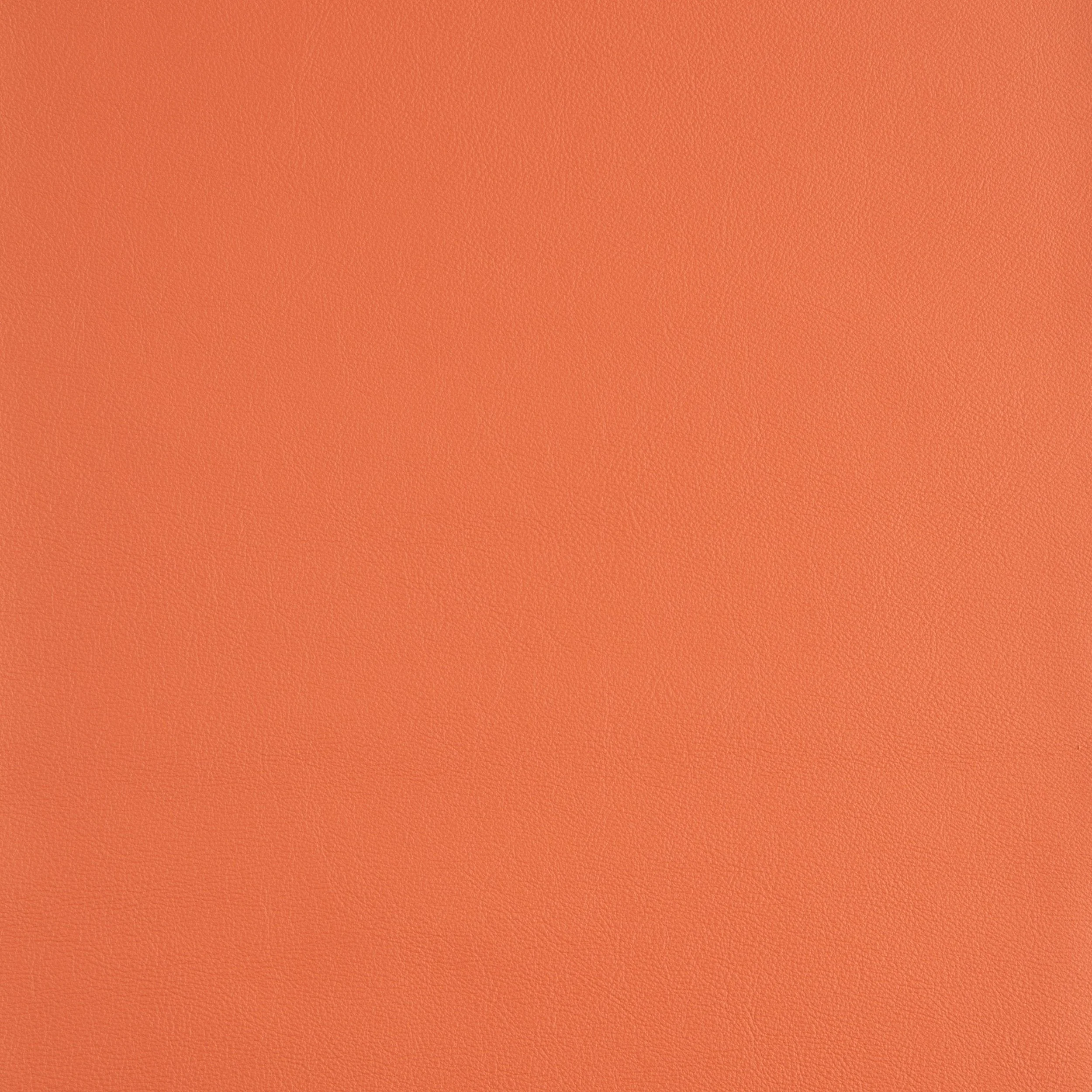 Kaleidoscope Linea Whole Hide - Brights - Image 10