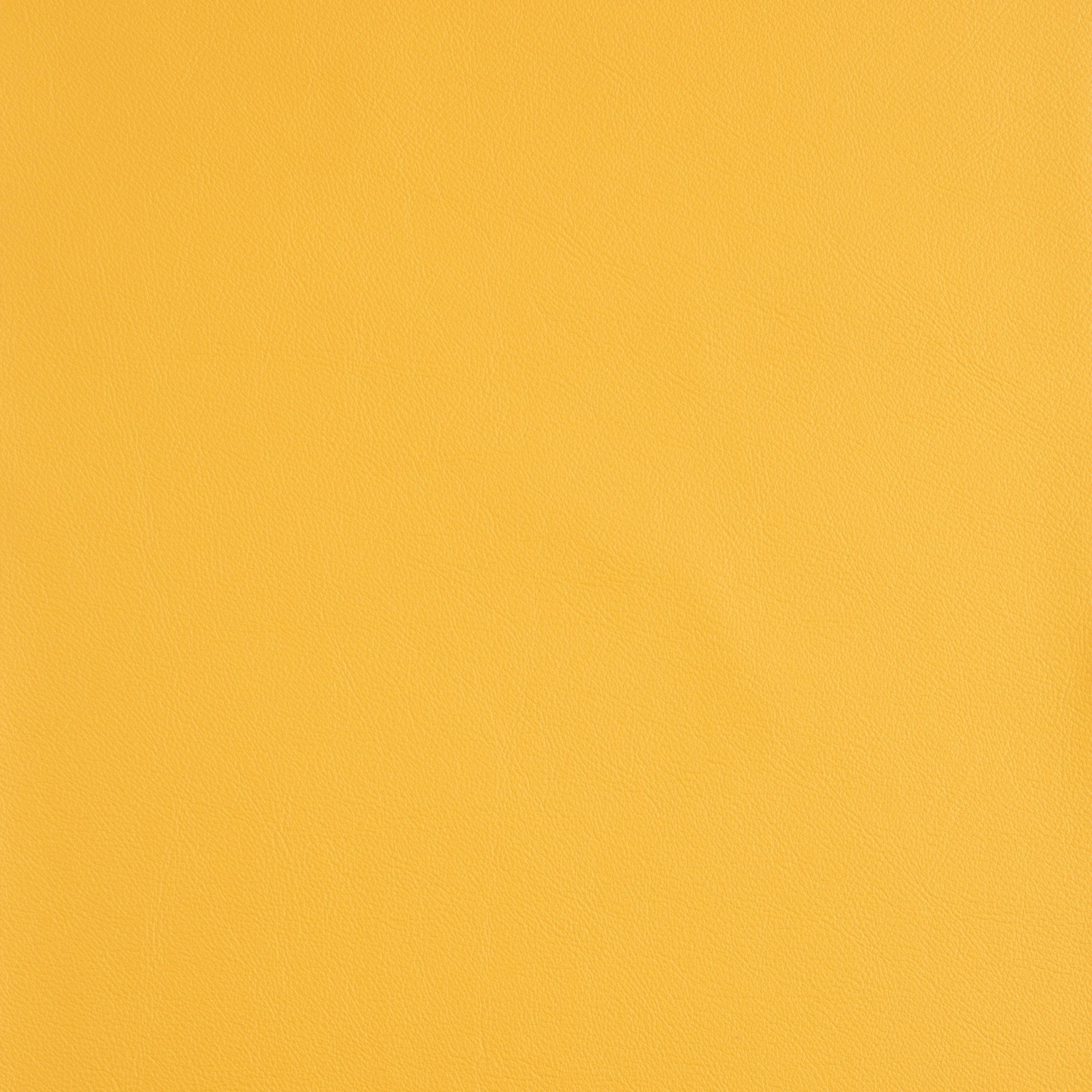 Kaleidoscope Linea Whole Hide - Brights - Image 13