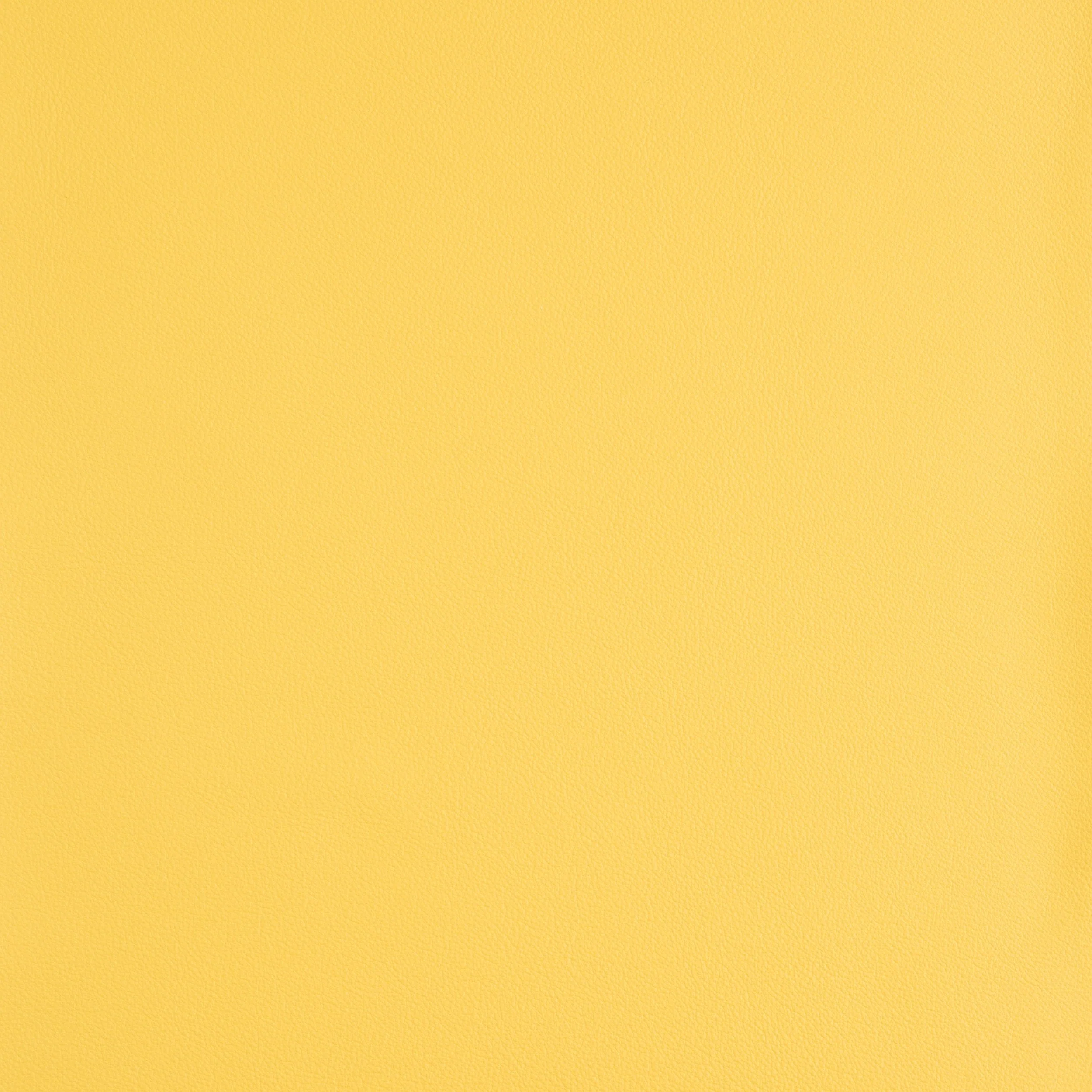 Kaleidoscope Linea Whole Hide - Brights - Image 14
