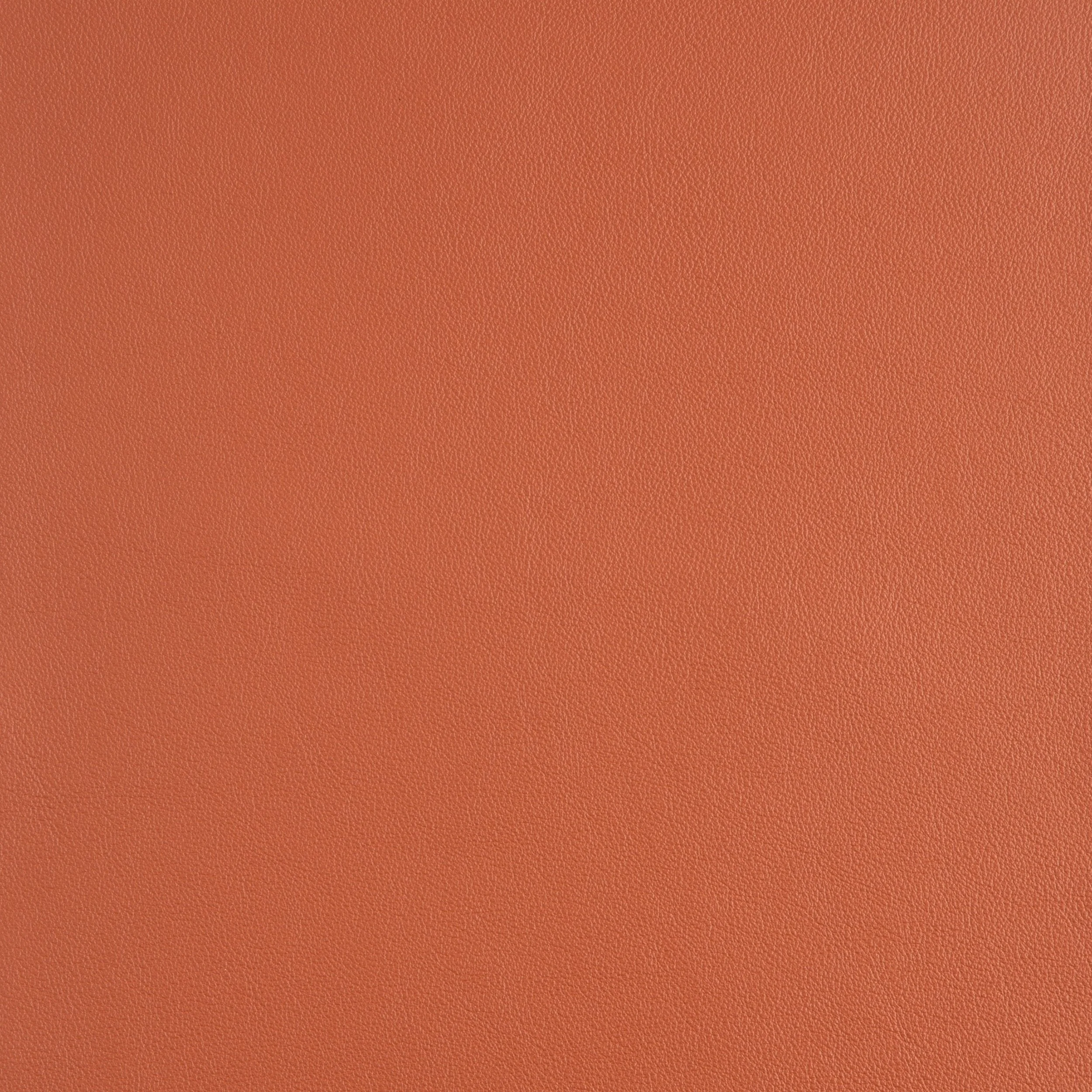 Kaleidoscope Linea Whole Hide - Brights - Image 25