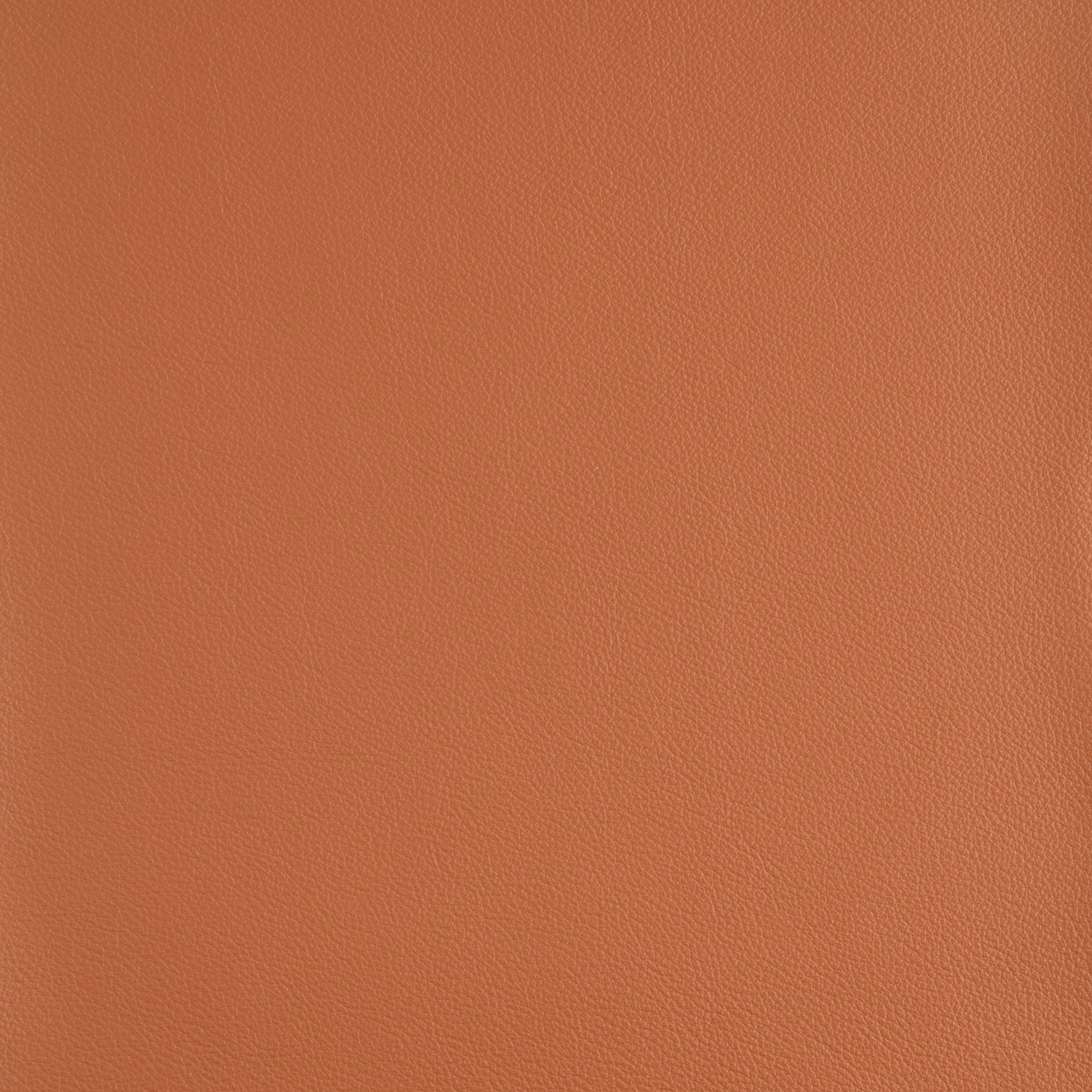 Kaleidoscope Linea Whole Hide - Brights - Image 28