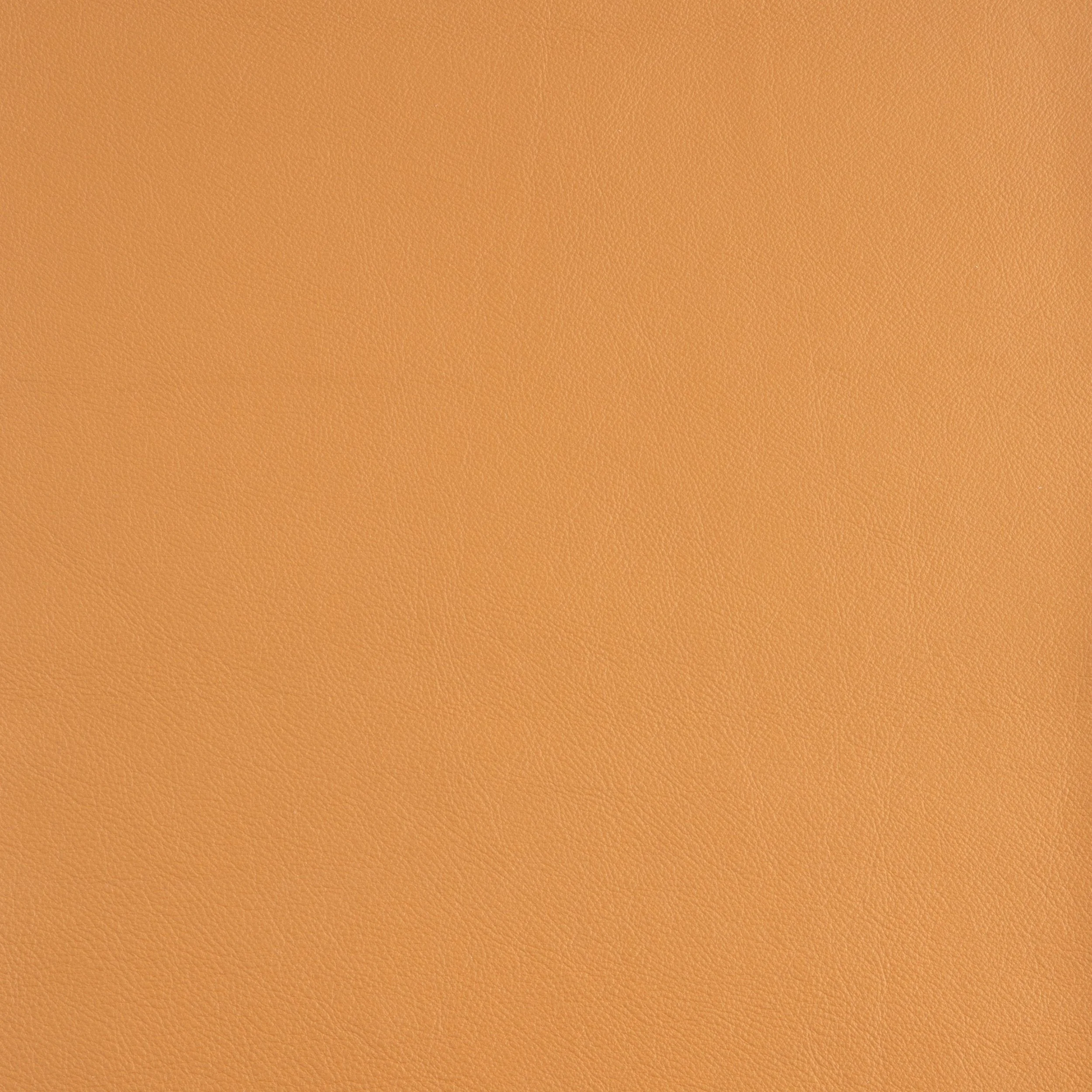 Kaleidoscope Linea Whole Hide - Brights - Image 29