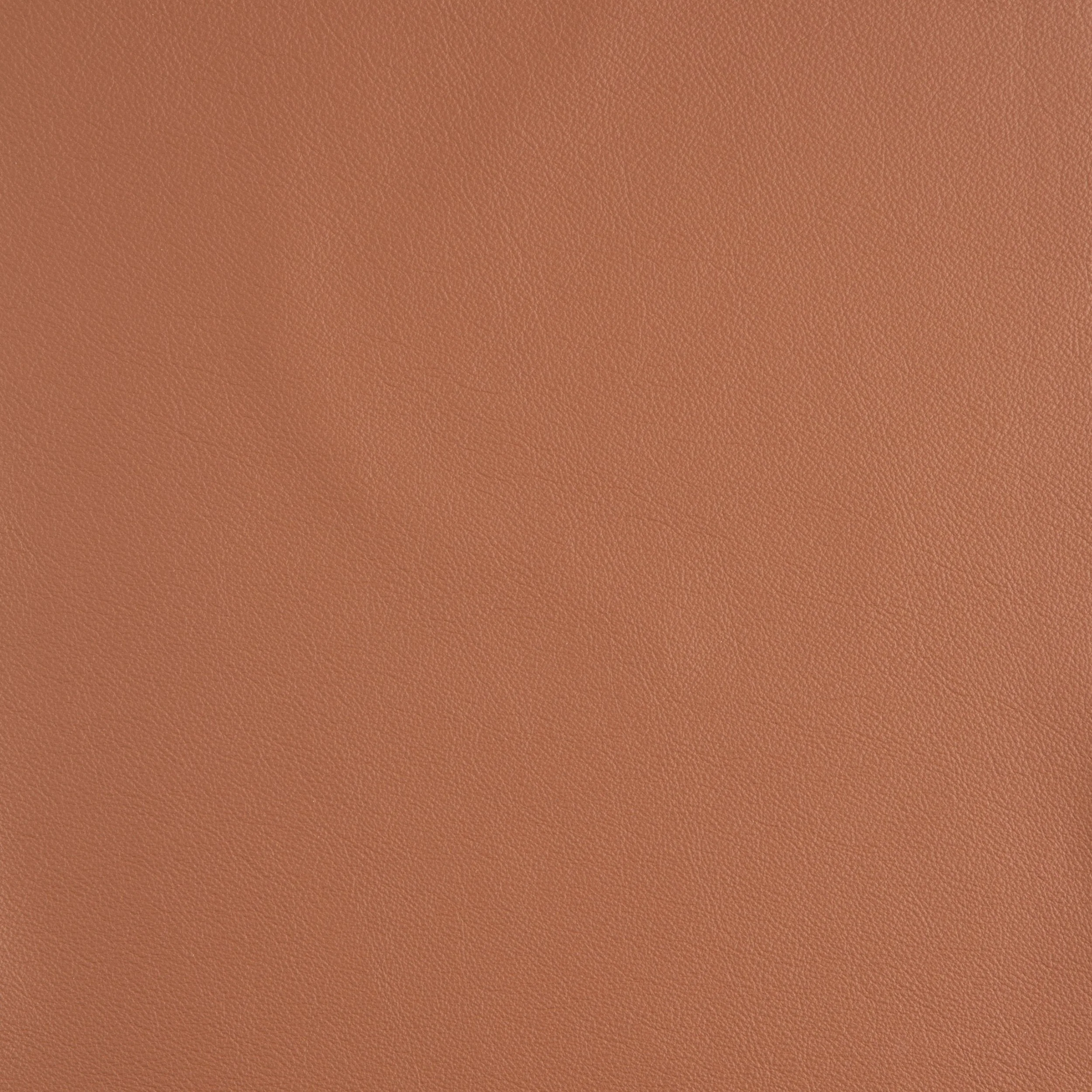 Kaleidoscope Linea Whole Hide - Brights - Image 3