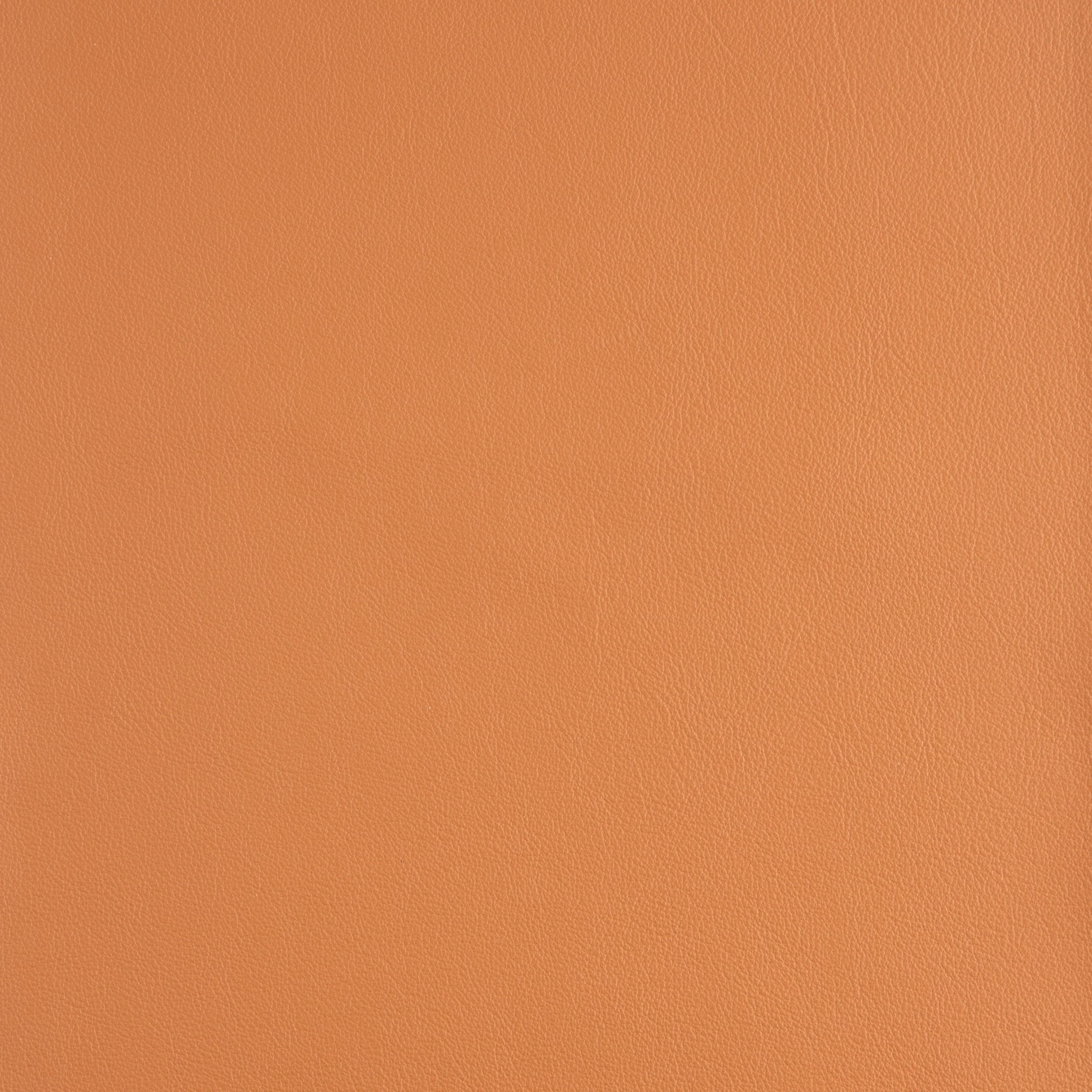 Kaleidoscope Linea Whole Hide - Brights - Image 30