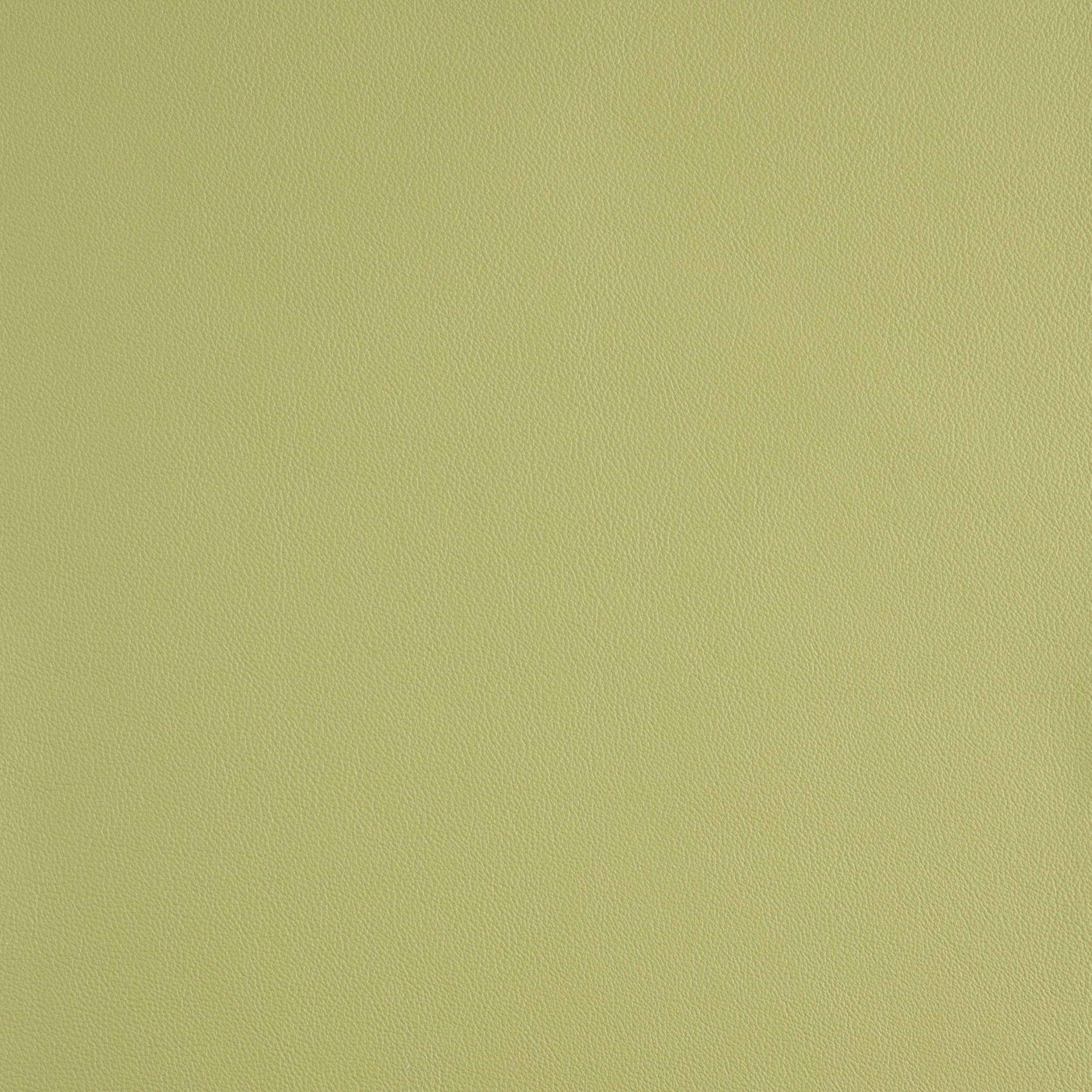 Kaleidoscope Linea Whole Hide - Brights - Image 35