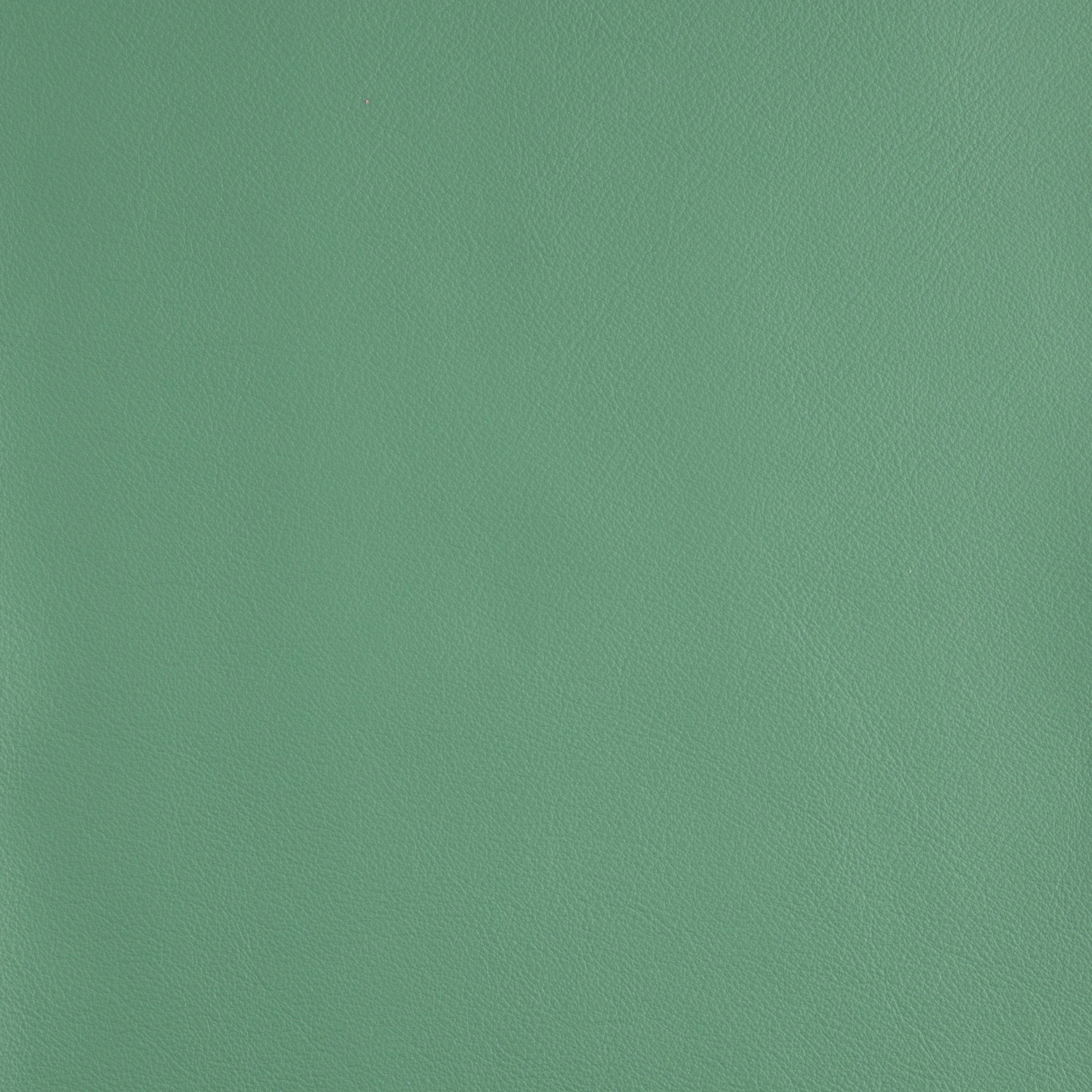 Kaleidoscope Linea Whole Hide - Brights - Image 36