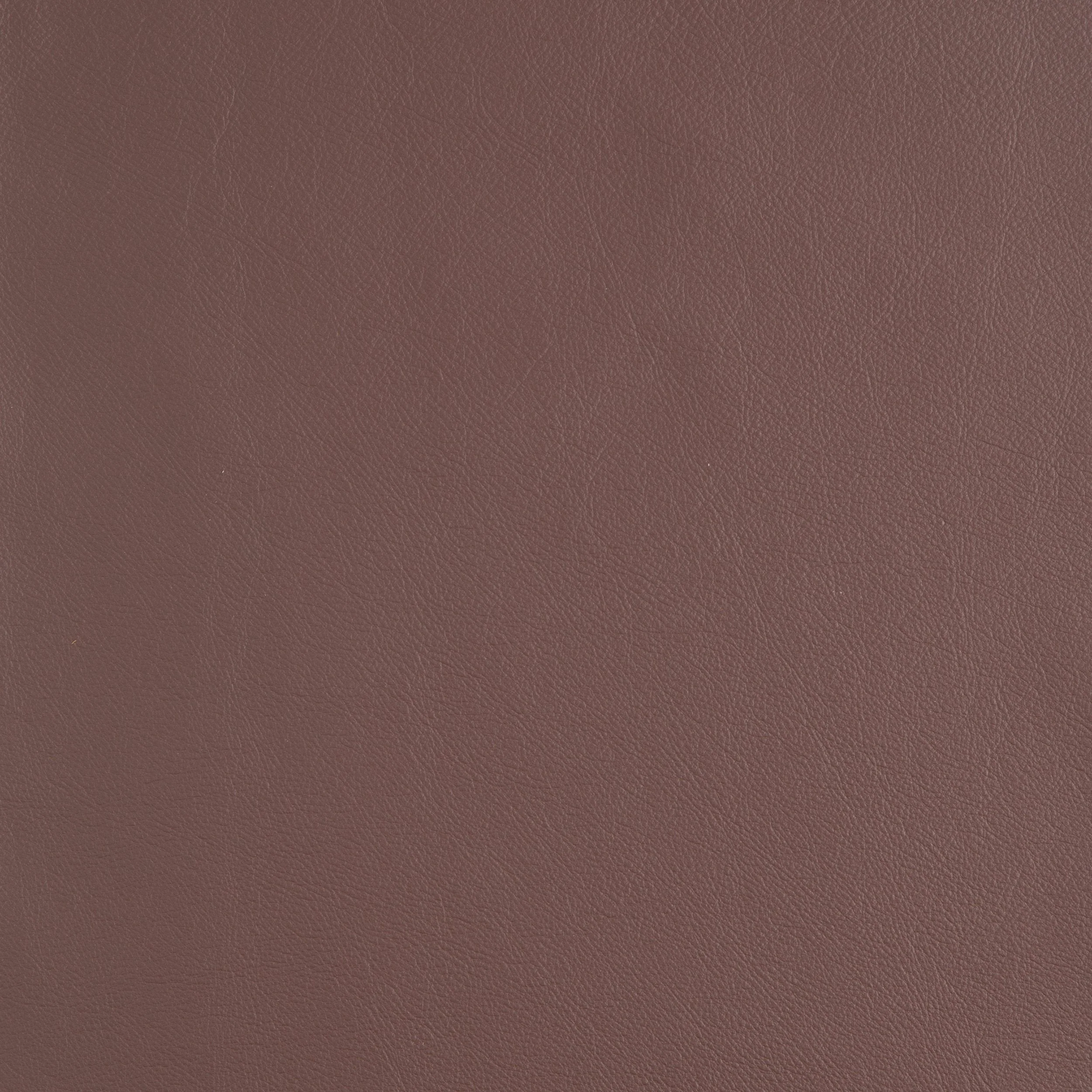 Kaleidoscope Linea Whole Hide - Brights - Image 5