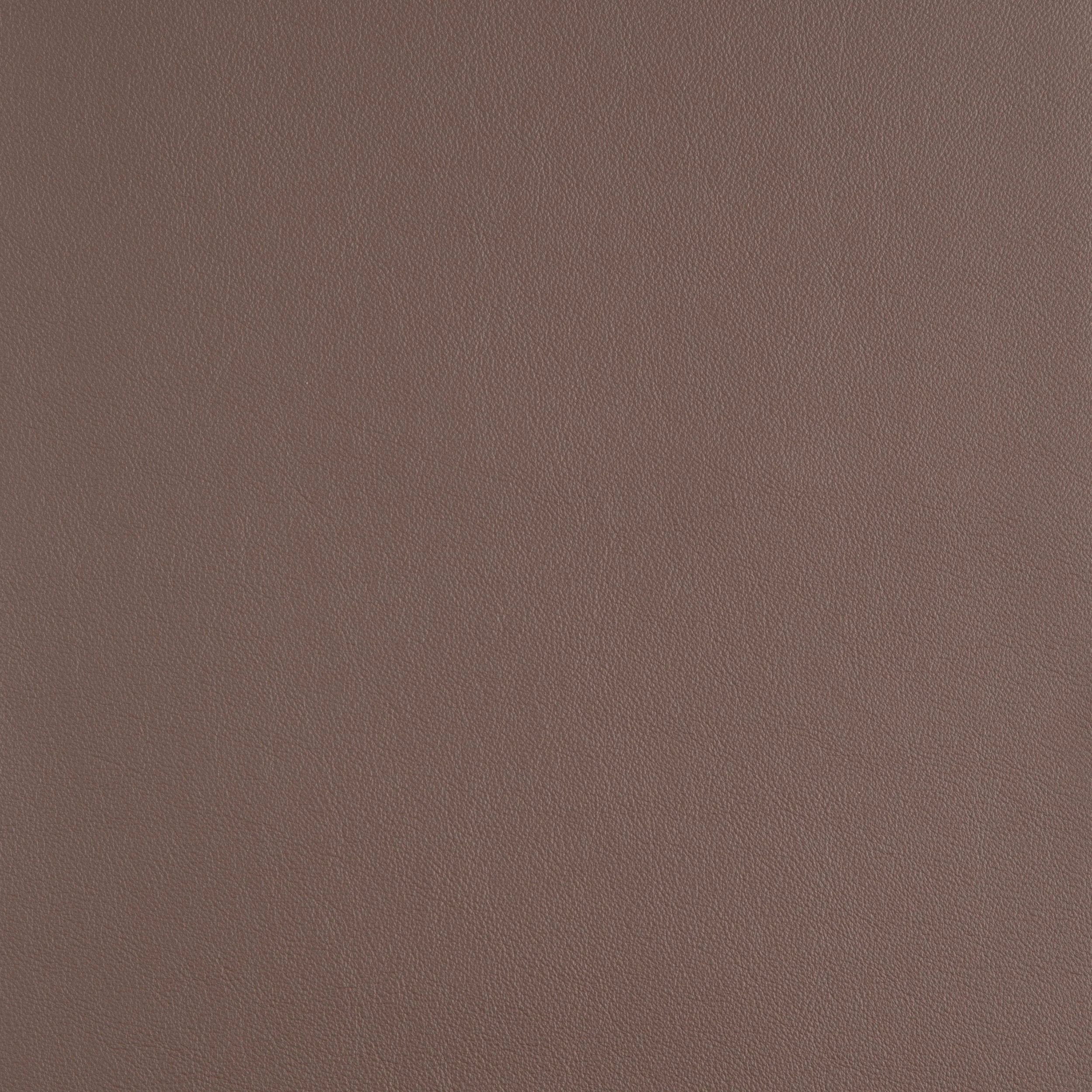 Kaleidoscope Linea Whole Hide - Brights - Image 6