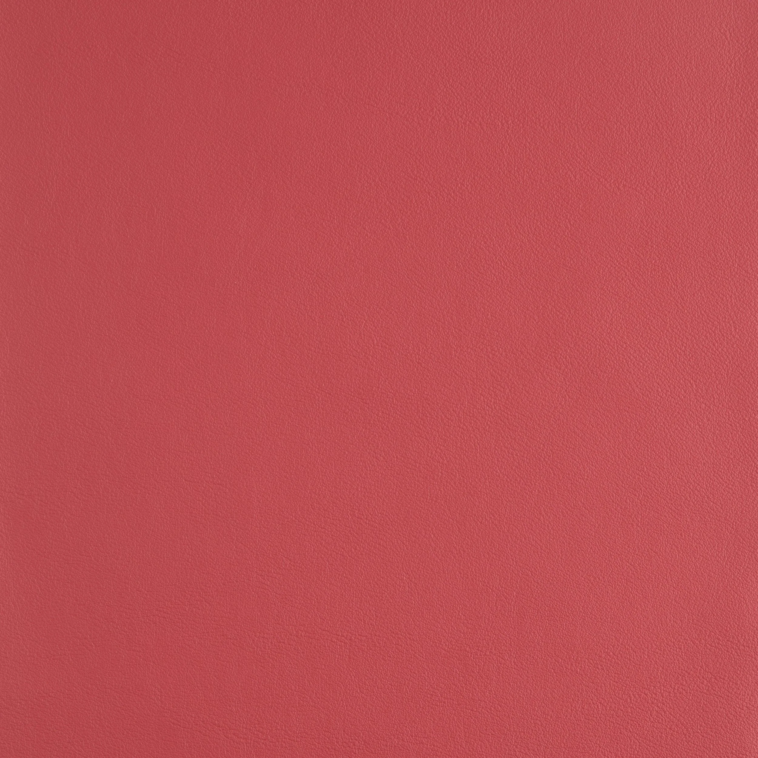 Kaleidoscope Linea Whole Hide - Brights - Image 9