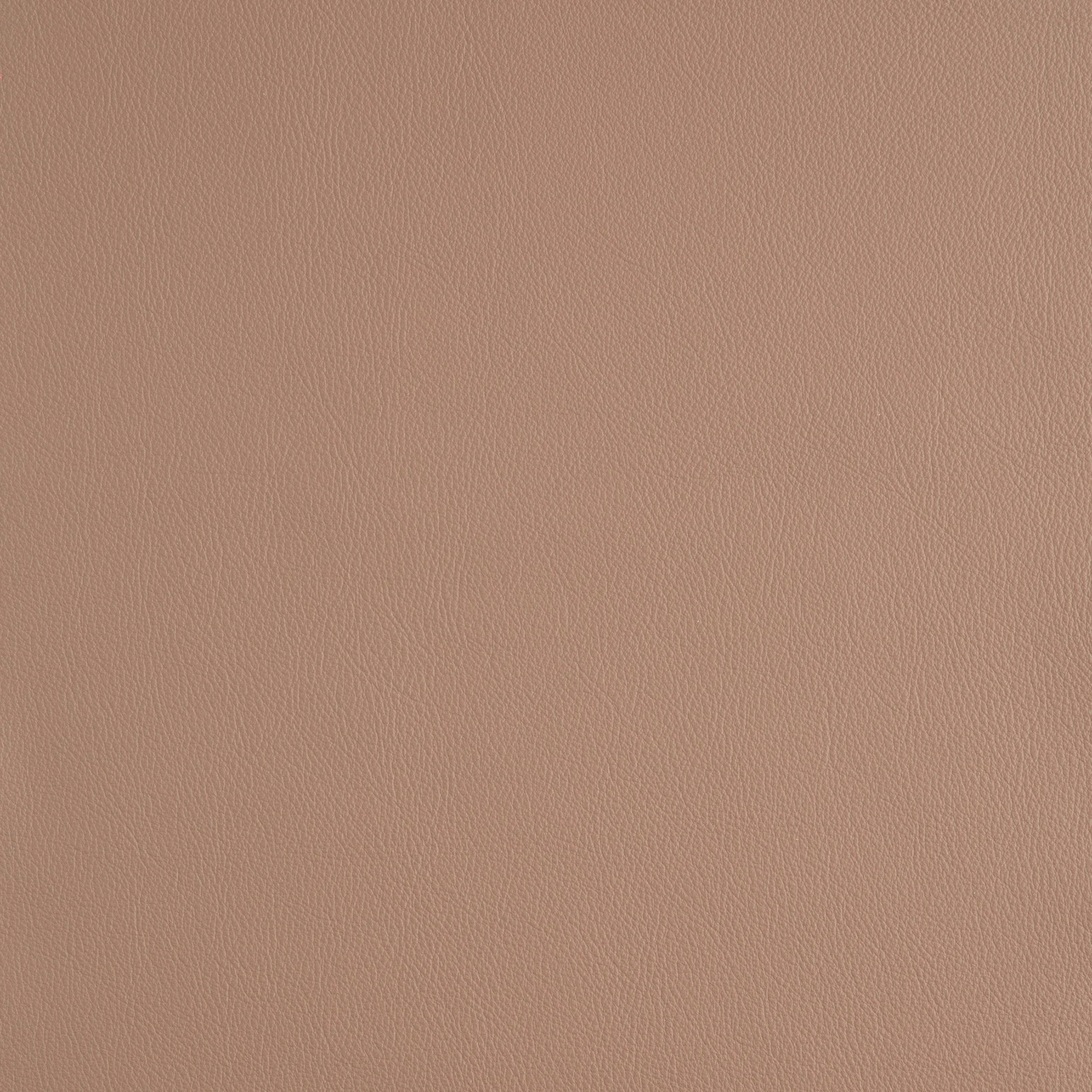 Kaleidoscope Linea Whole Hide - Neutrals - Image 12