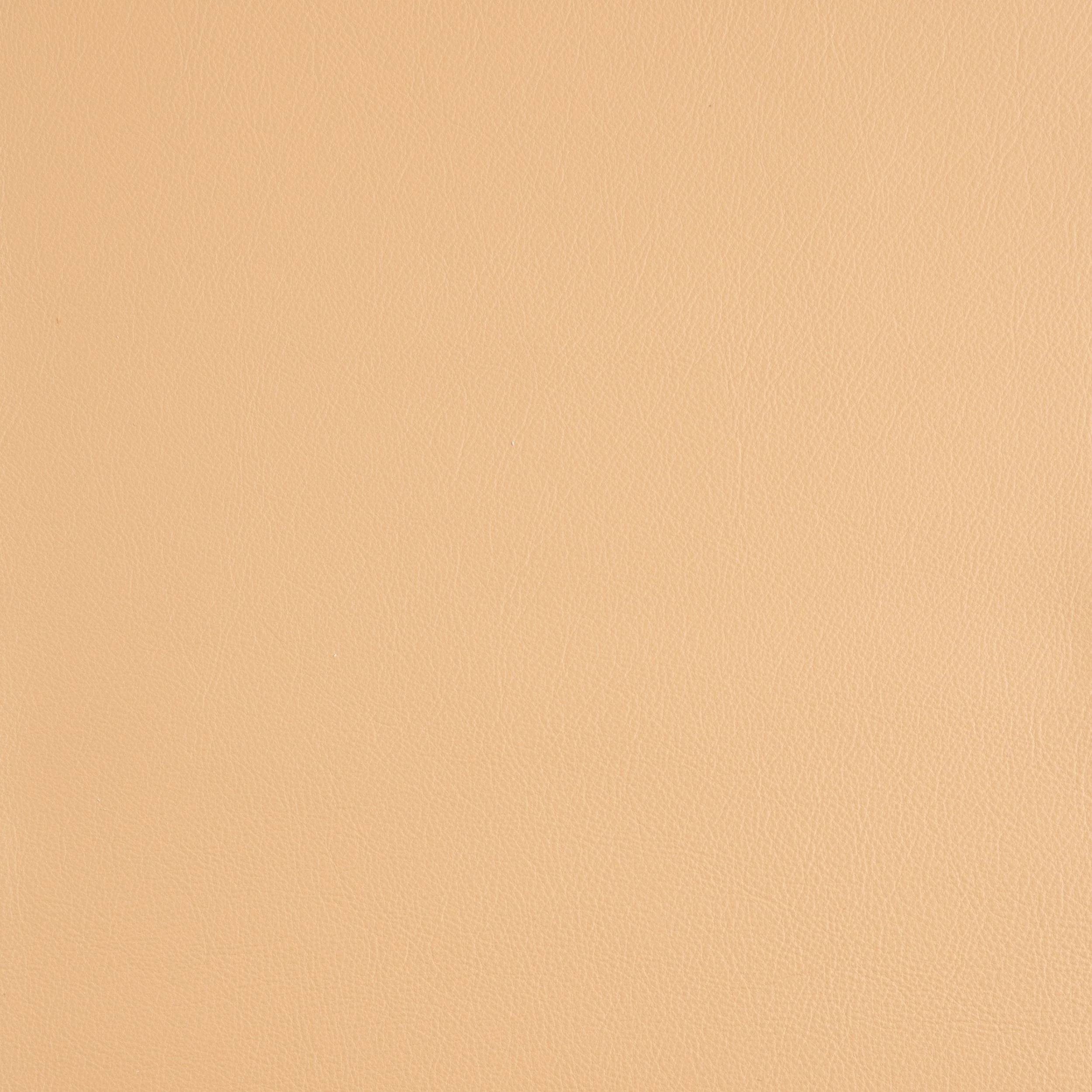 Kaleidoscope Linea Whole Hide - Neutrals - Image 13