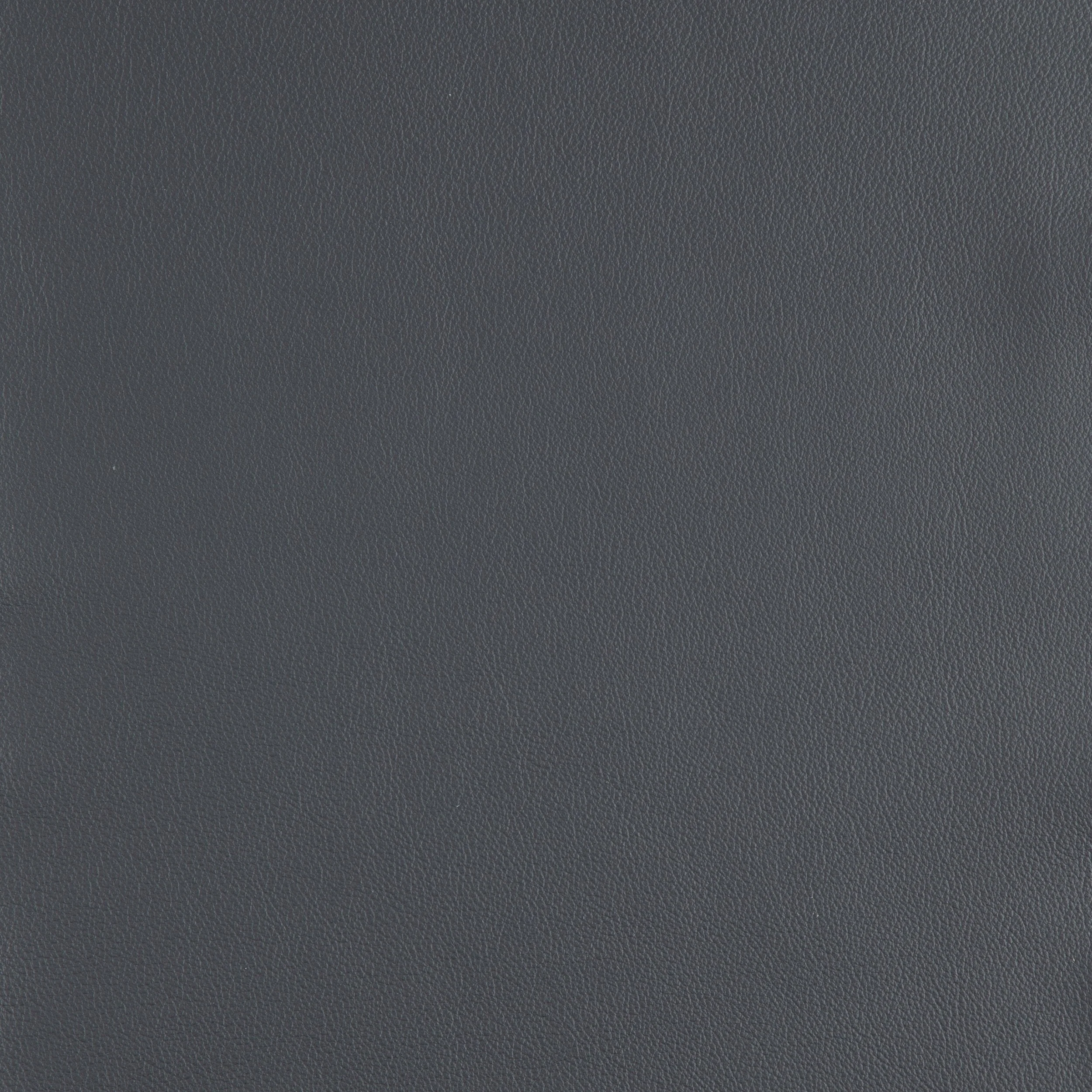 Kaleidoscope Linea Whole Hide - Neutrals - Image 24